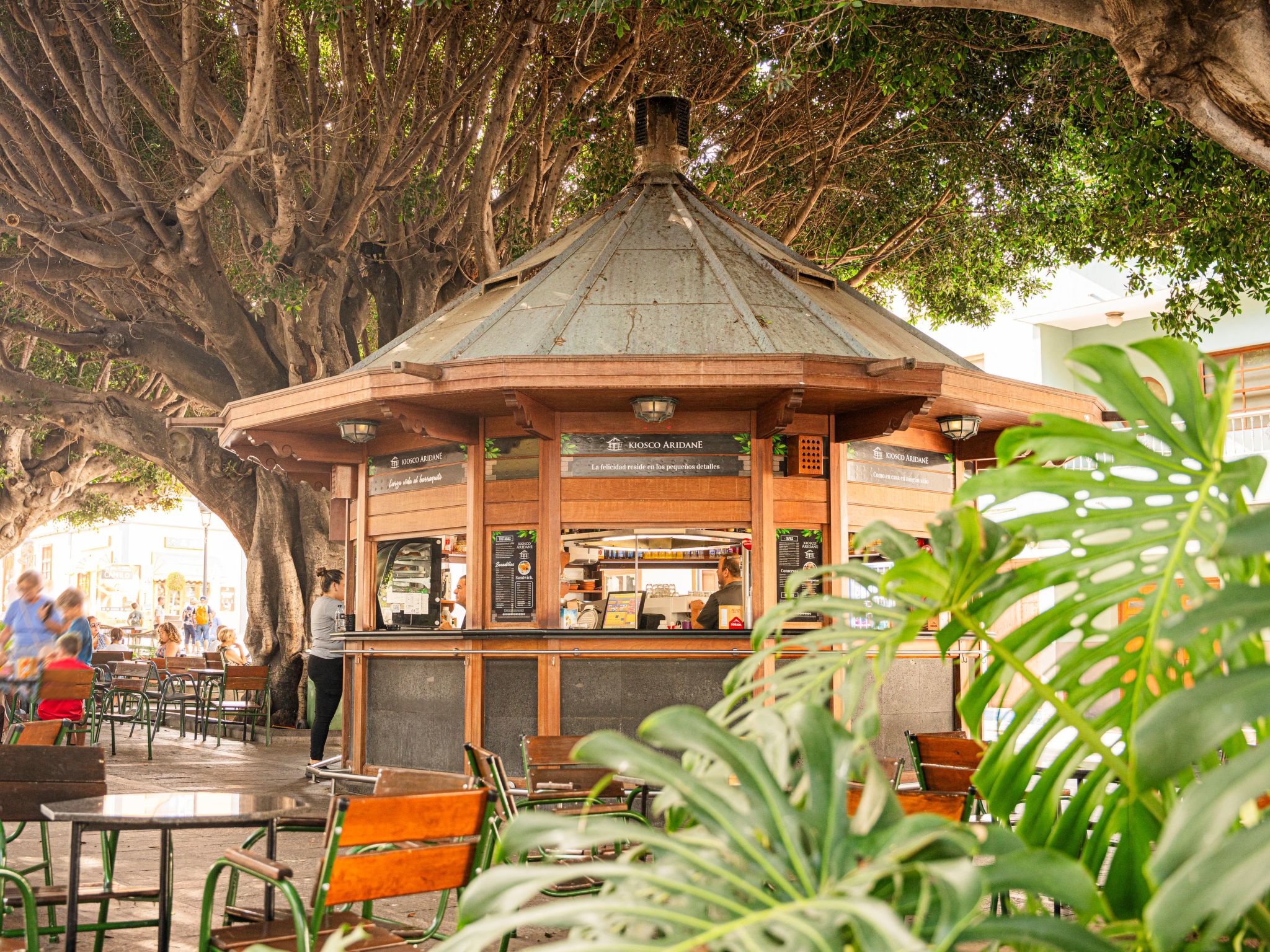 CHL La Placeta, Haus in Los Llanos de Aridane-Dedans