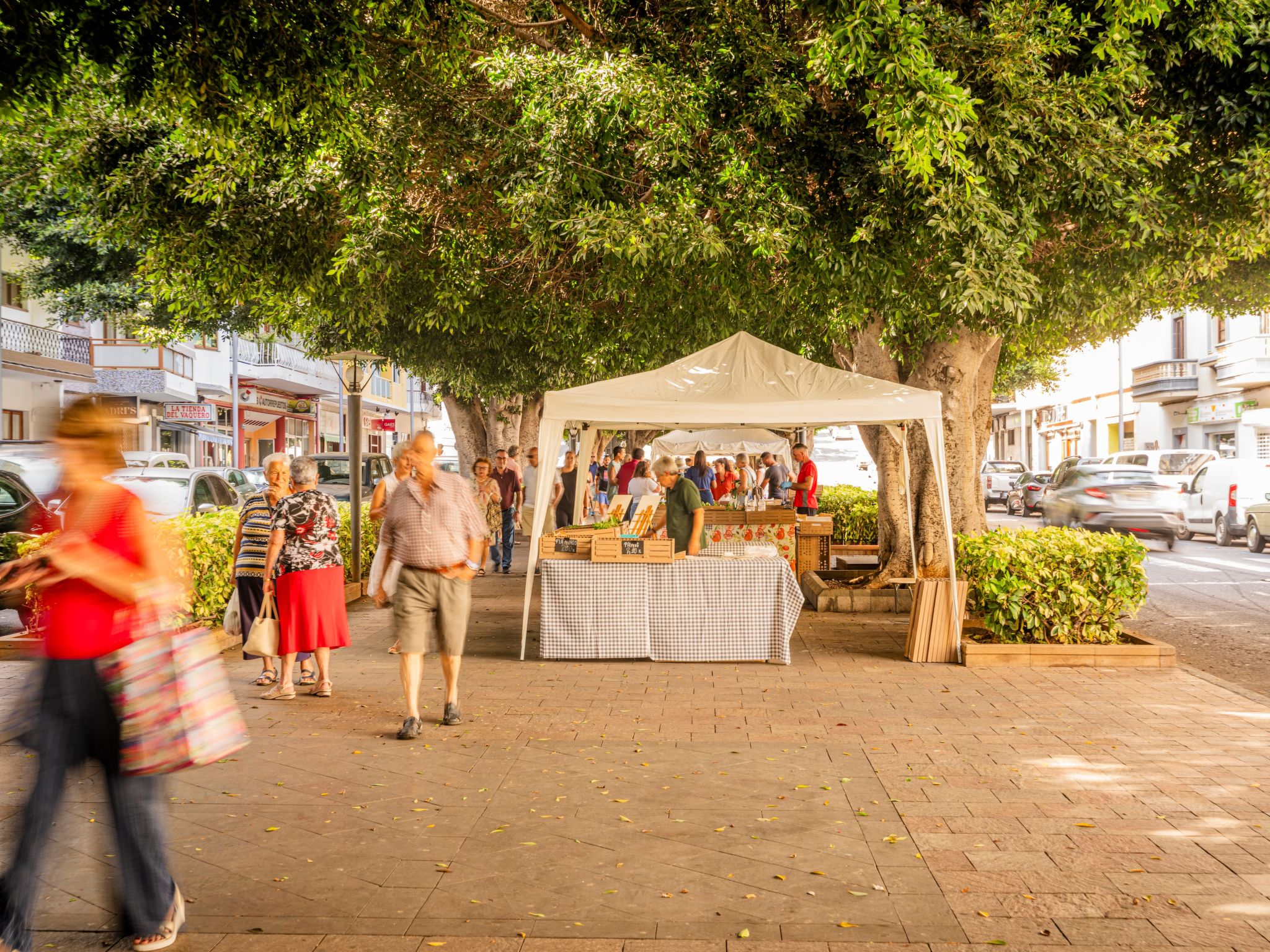 CHL La Placeta, Haus in Los Llanos de Aridane-Dedans