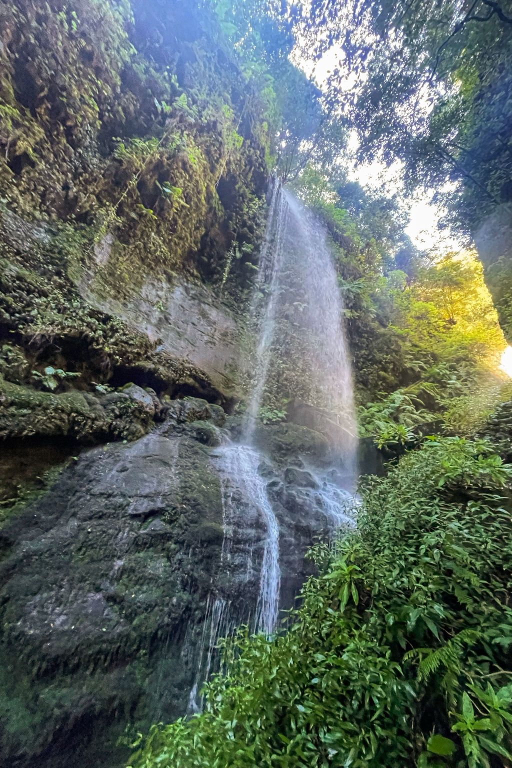 CHL La Placeta, Haus in Los Llanos de Aridane-Dedans