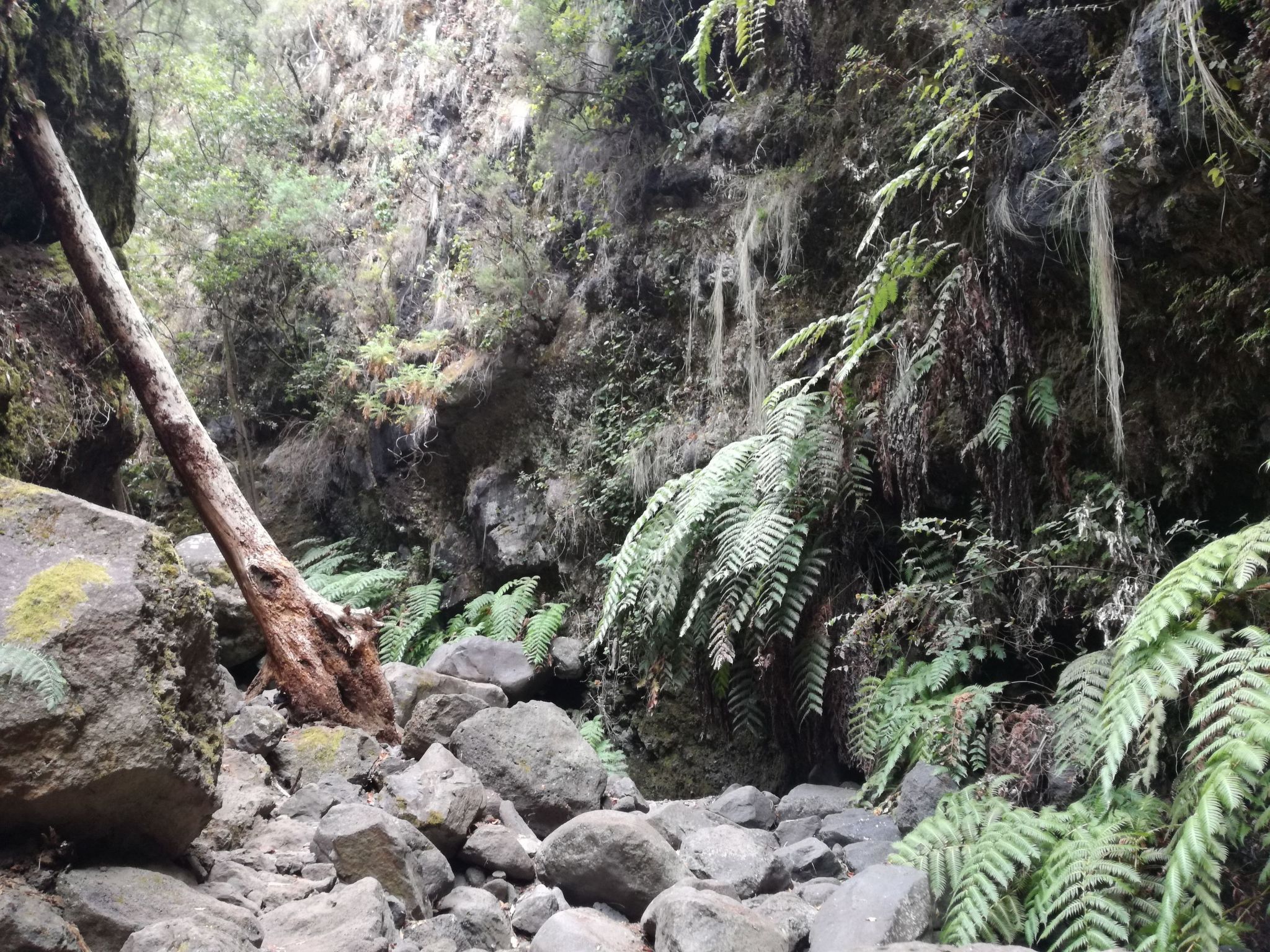 Haus La Majada-Binnen