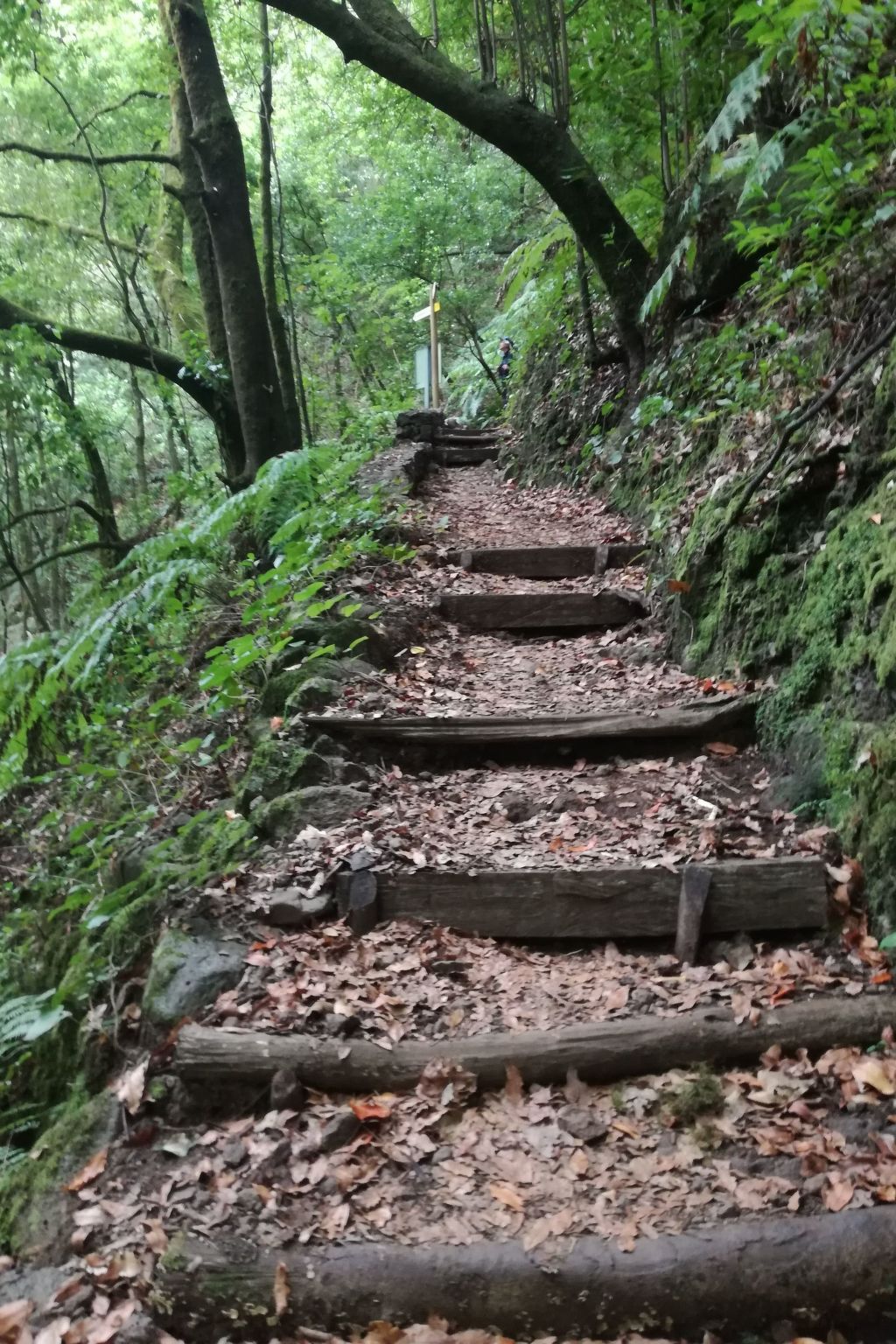 Haus La Majada-Binnen