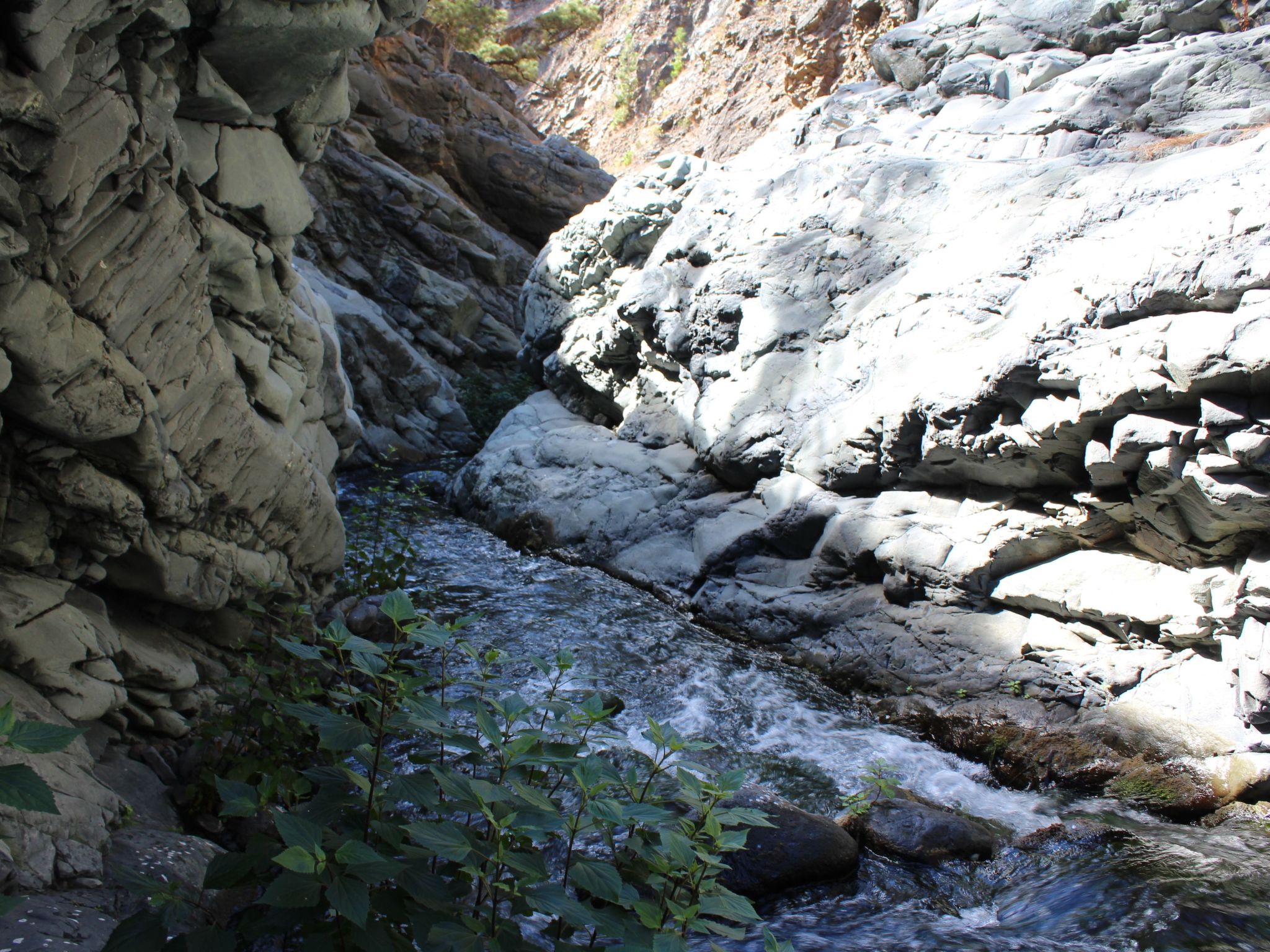 Haus La Majada-Binnen