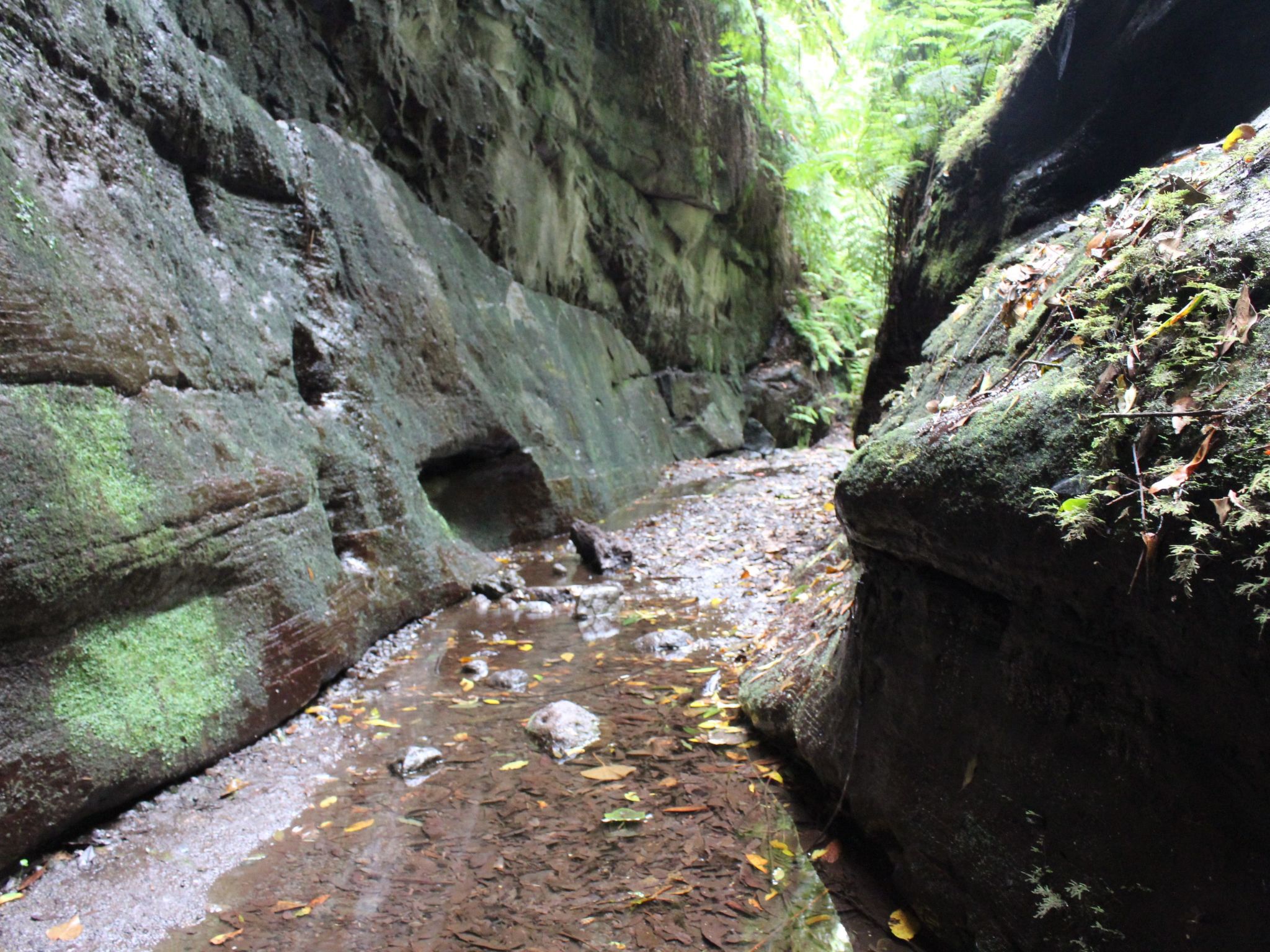 Haus La Majada-Binnen