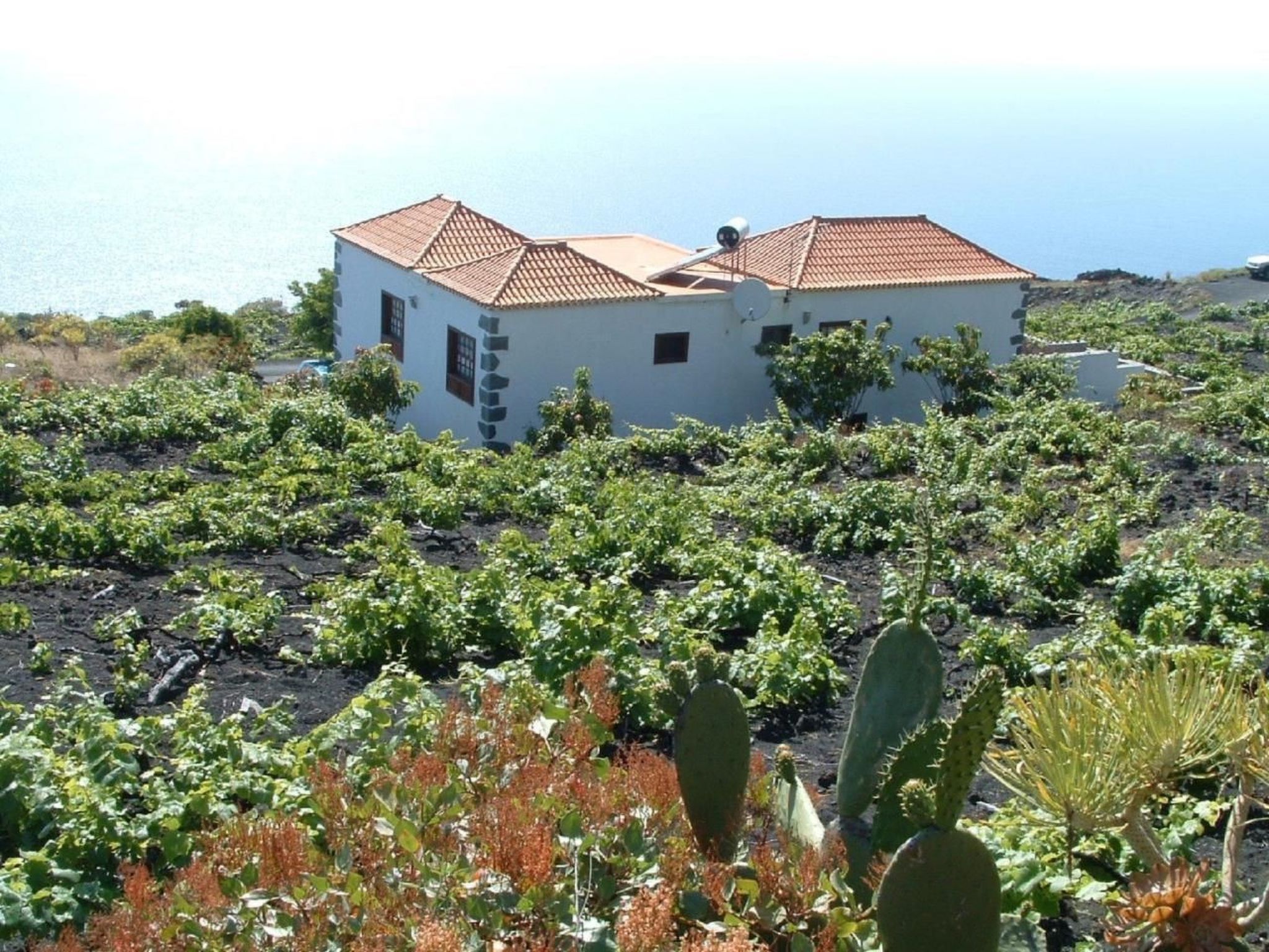 "Las Viñas" mit Wasserblick-Dedans
