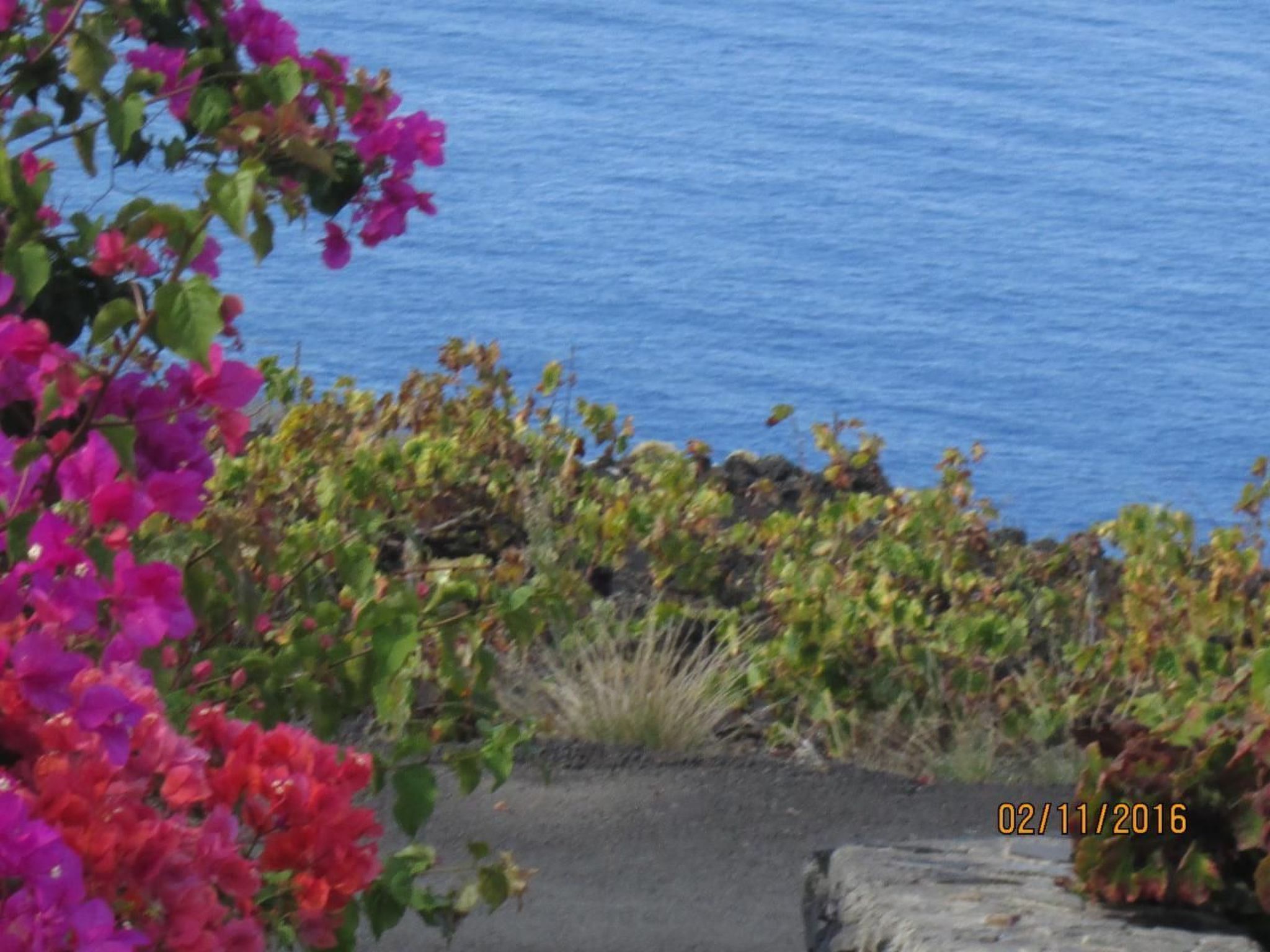 "Las Viñas" mit Wasserblick-Dedans