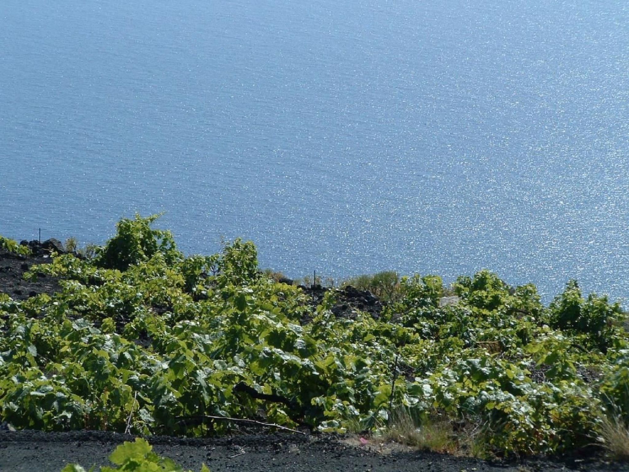 "Las Viñas" mit Wasserblick-Dedans