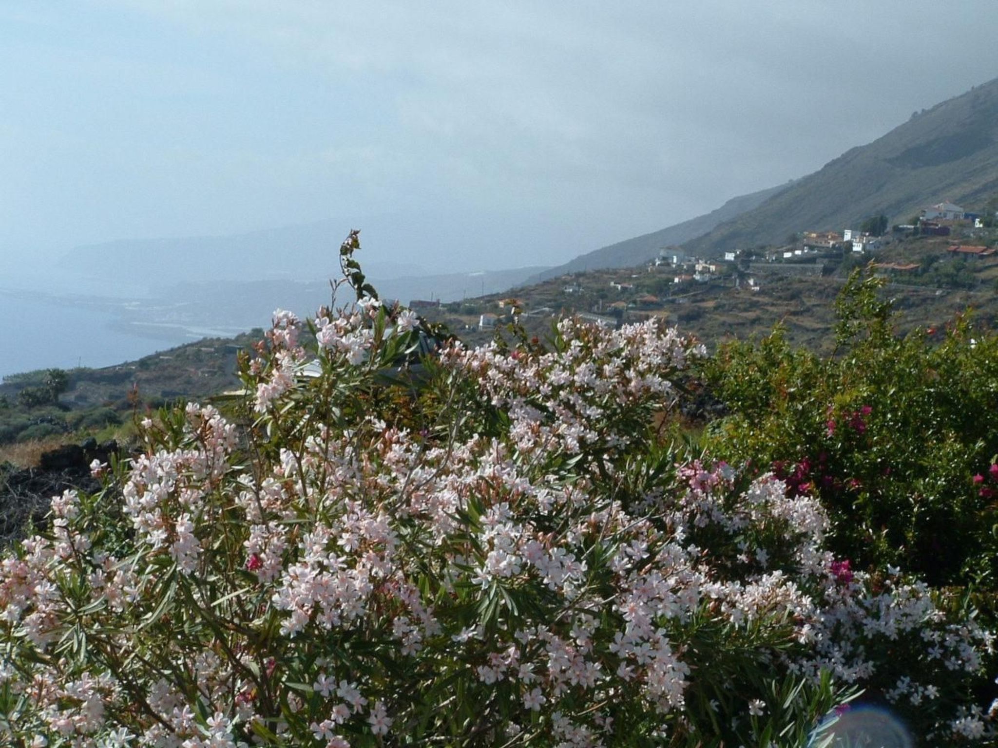 "Las Viñas" mit Wasserblick-Dedans
