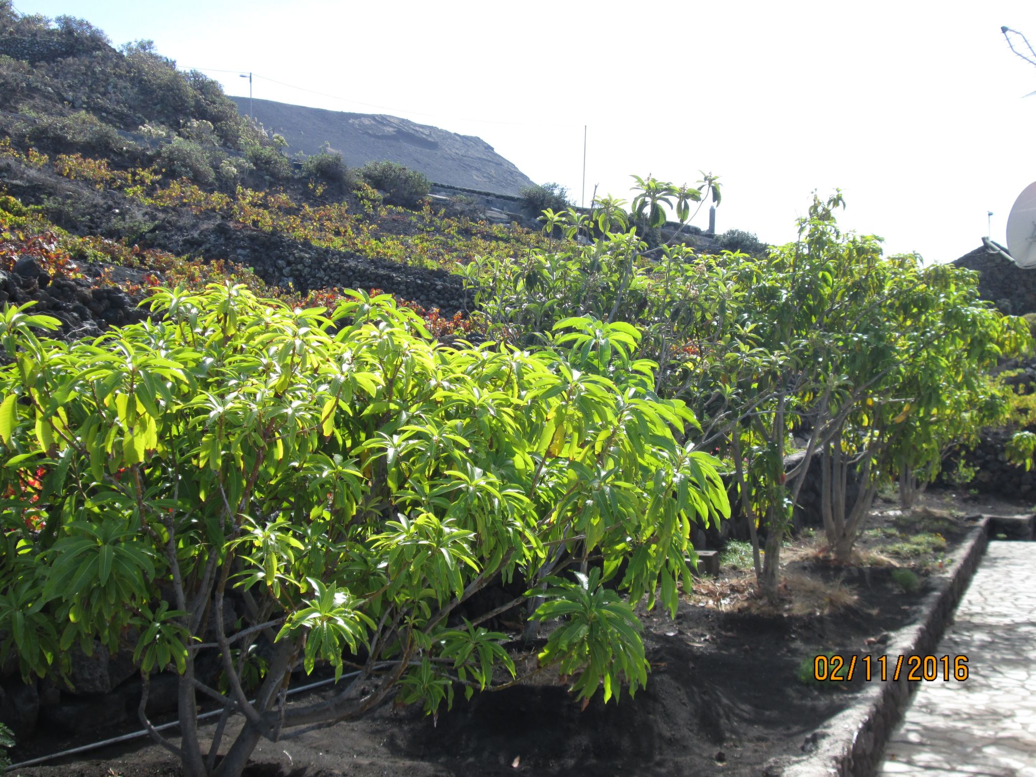 Mit Garten und wunderbarer Aussicht-Binnen