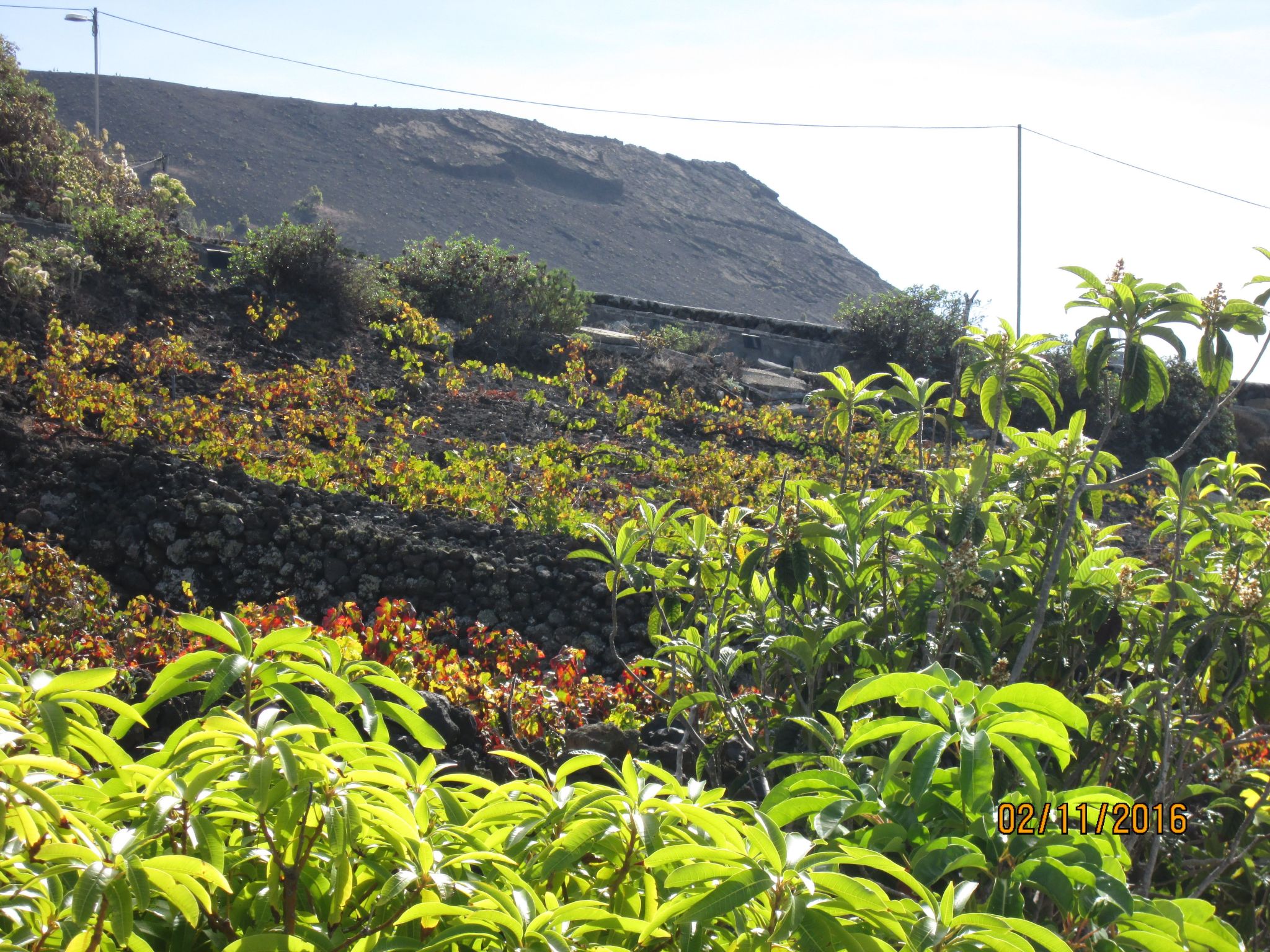 Mit Garten und wunderbarer Aussicht-Binnen