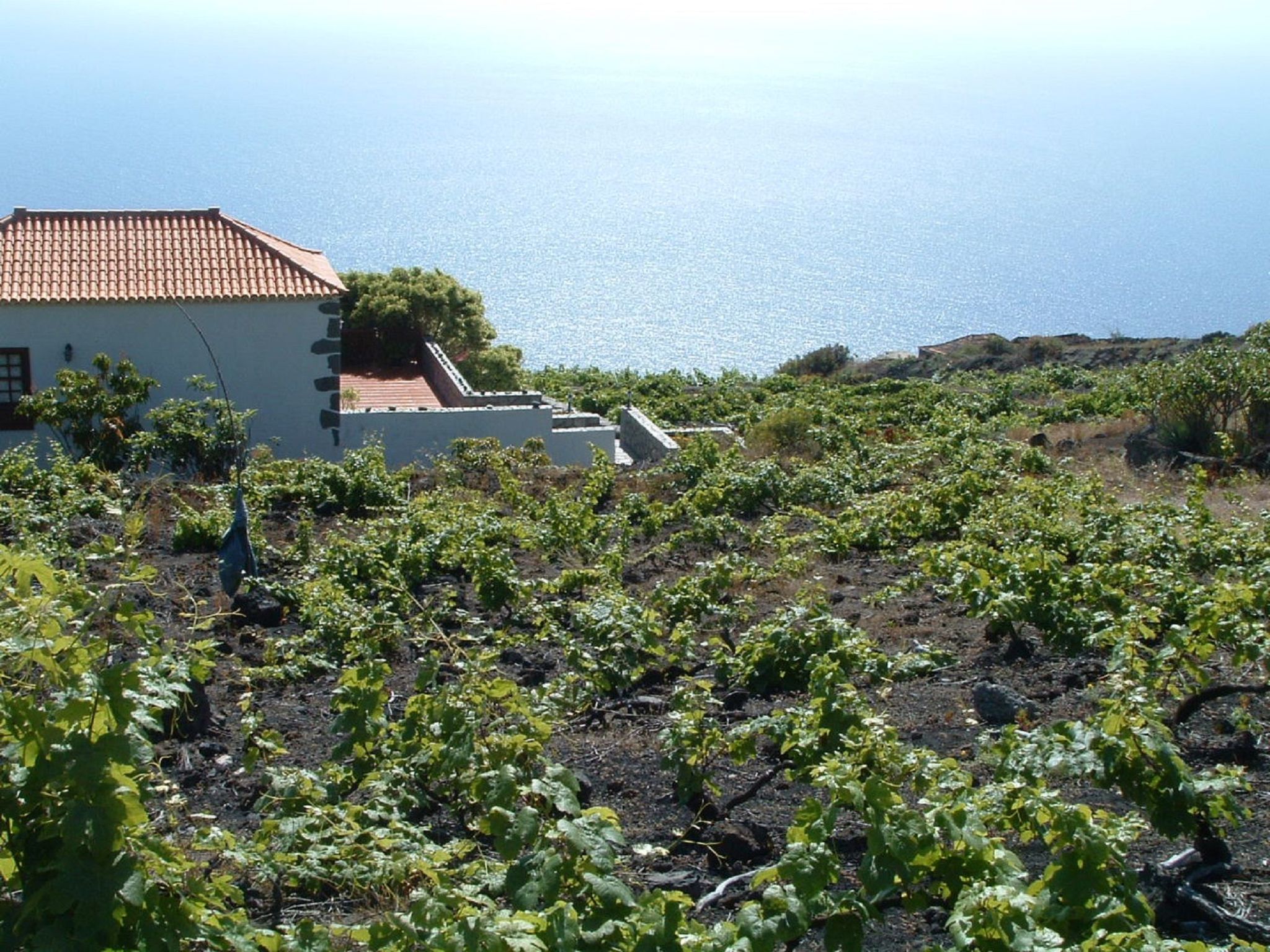 Mit Garten und wunderbarer Aussicht-Binnen