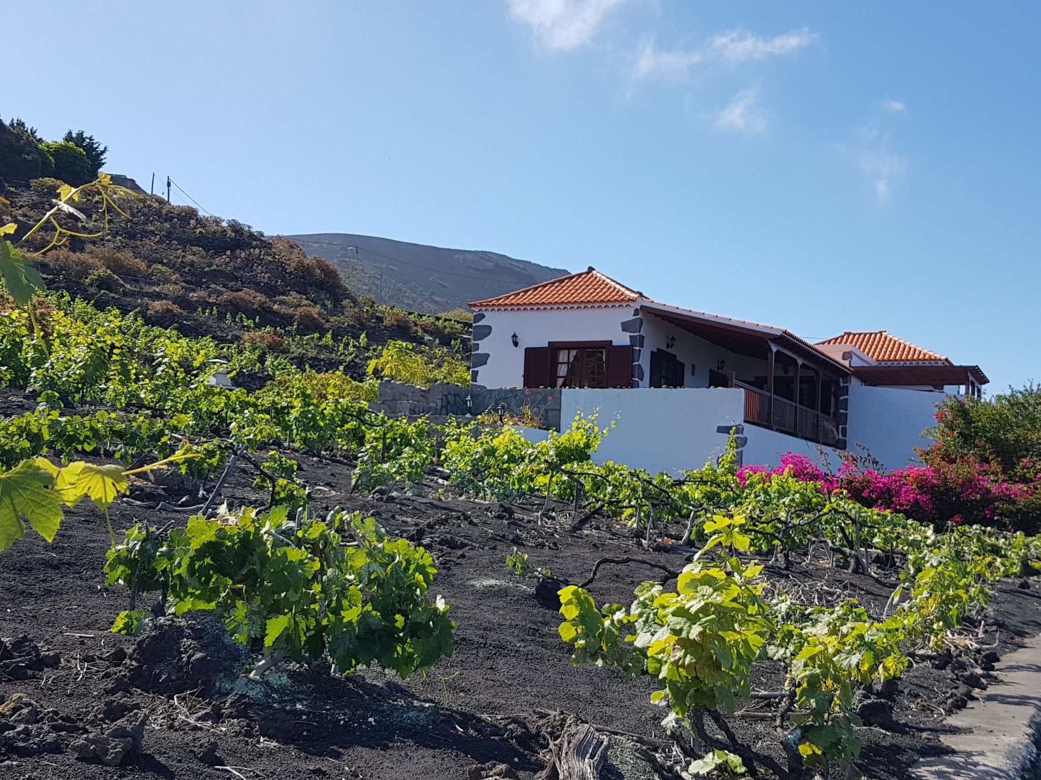 Mit Garten und wunderbarer Aussicht-Binnen