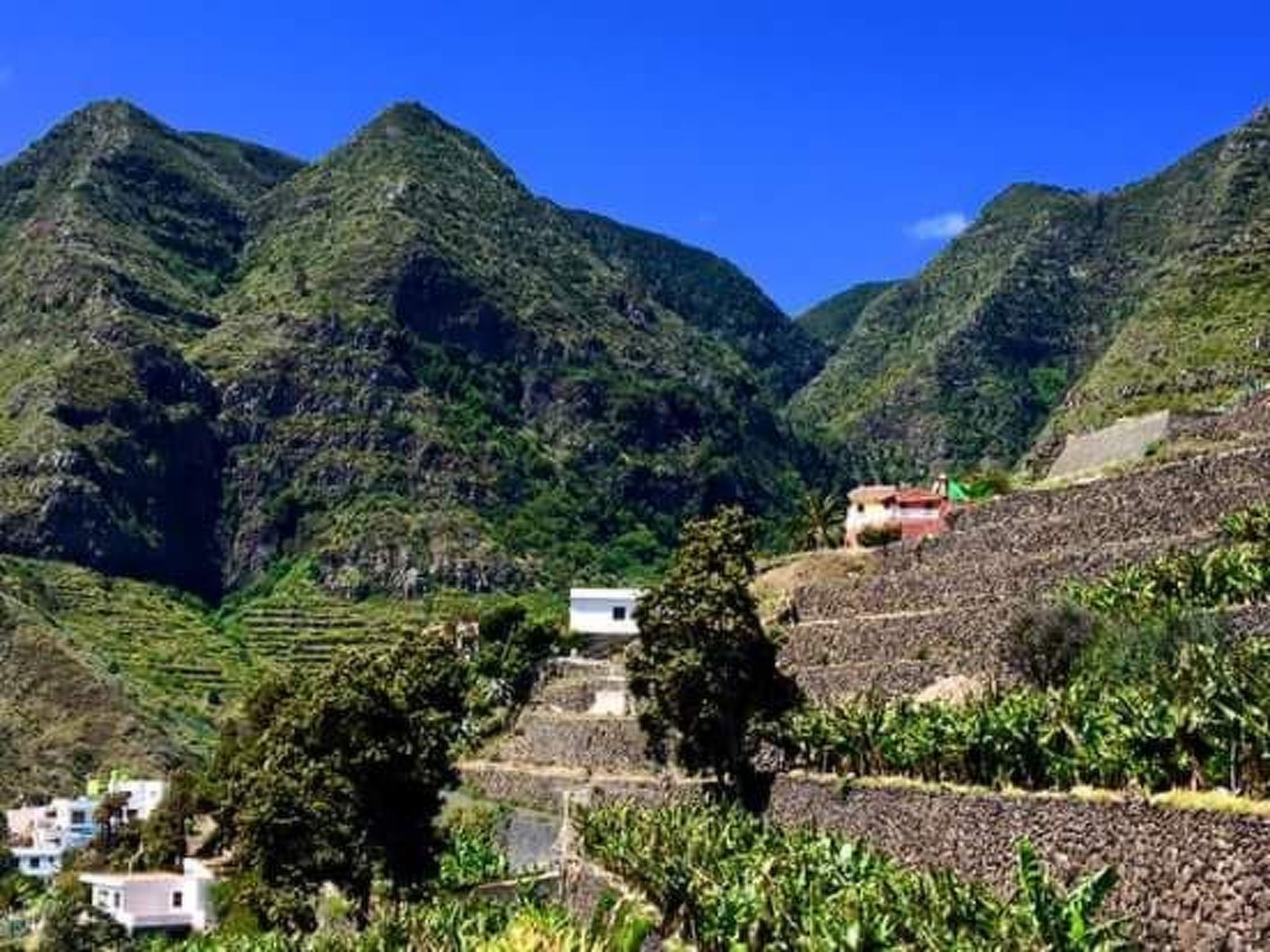 Vrijstaand vakantiehuis met bergzicht en terras in Hermigua, La Gomera - foto 20