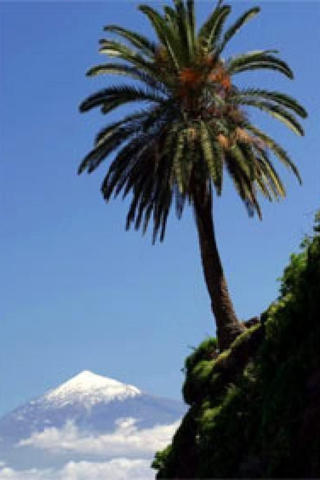 Vrijstaand vakantiehuis met bergzicht en terras in Hermigua, La Gomera - foto 21