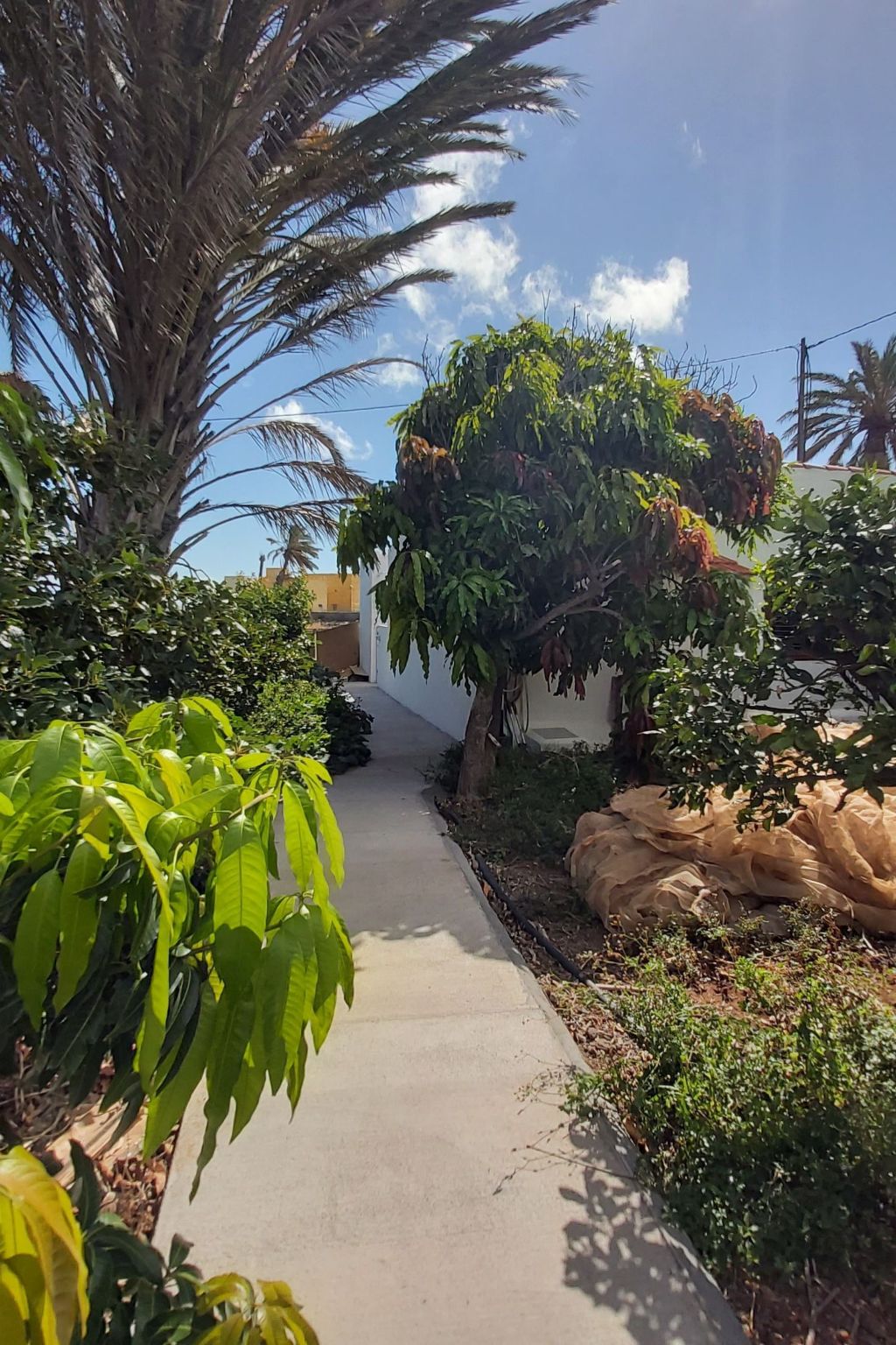 Finca Villa Clara 4-Outside