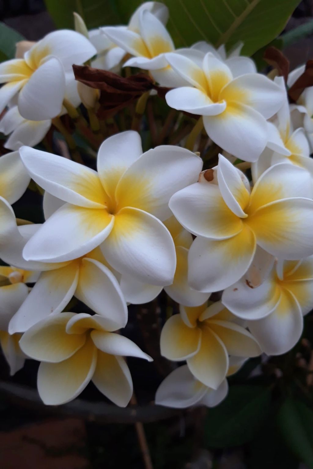 Komfortable geräumige Wohnung mit bester Aussicht 5p max-Outside