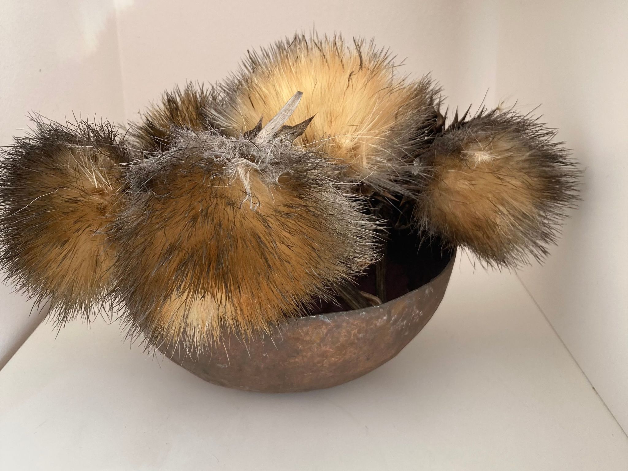 Komfortable geräumige Wohnung mit bester Aussicht 5p max-Image-tags.info