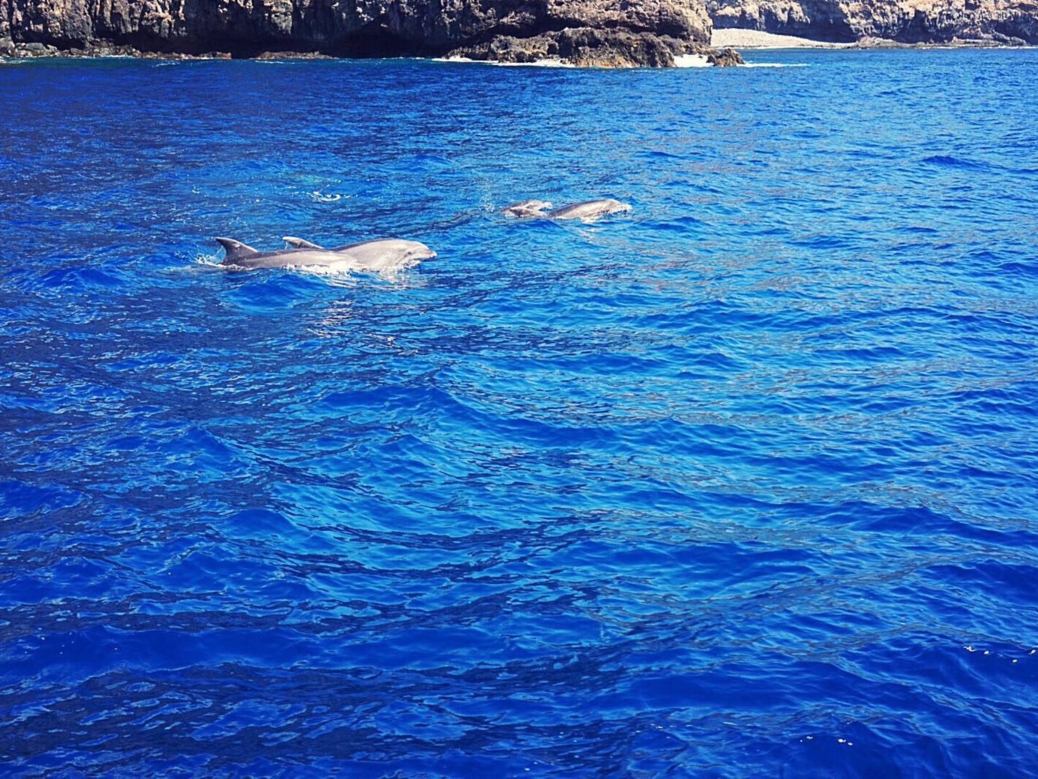 Komfortable geräumige Wohnung mit bester Aussicht 5p max