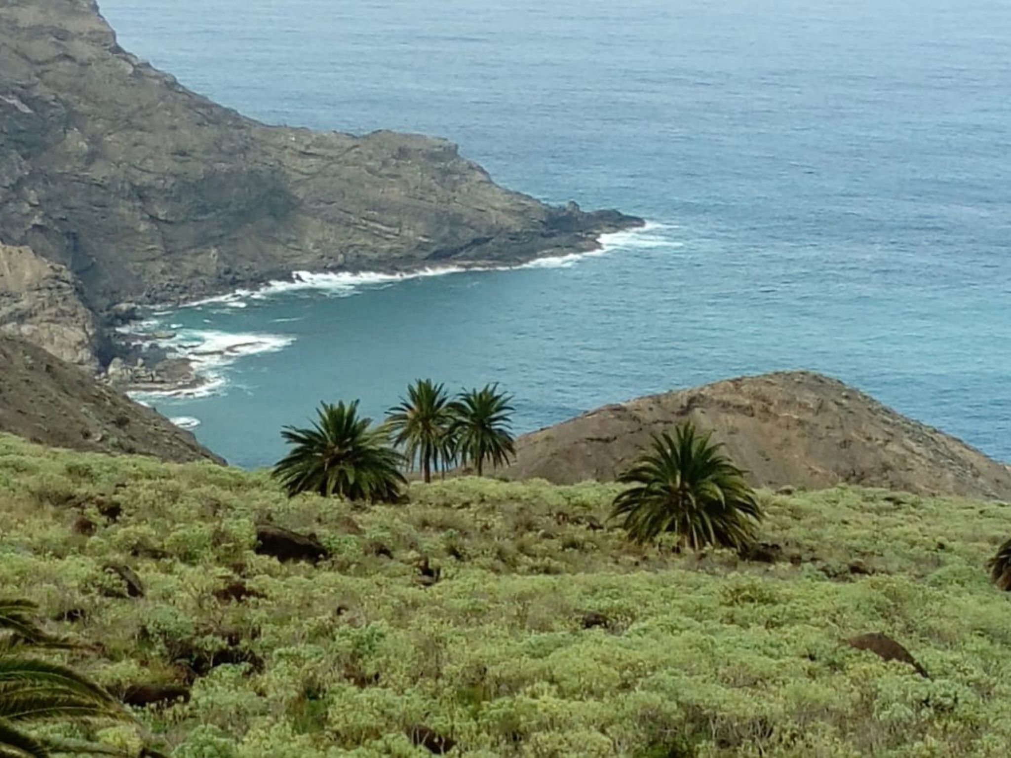 Komfortable geräumige Wohnung mit bester Aussicht 5p max