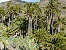 Finca mit Wasserblick
