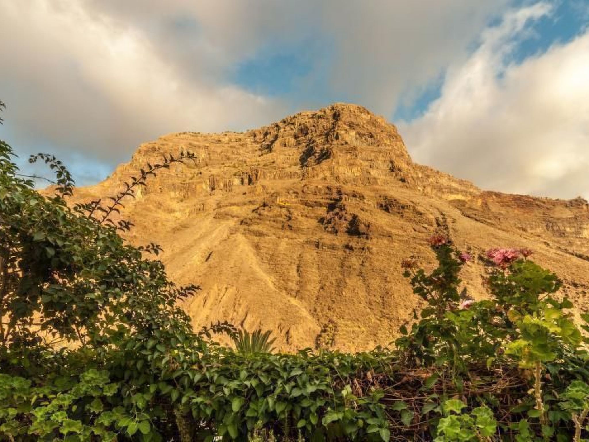 Fachwerkhaus "Askanova". - Buiten