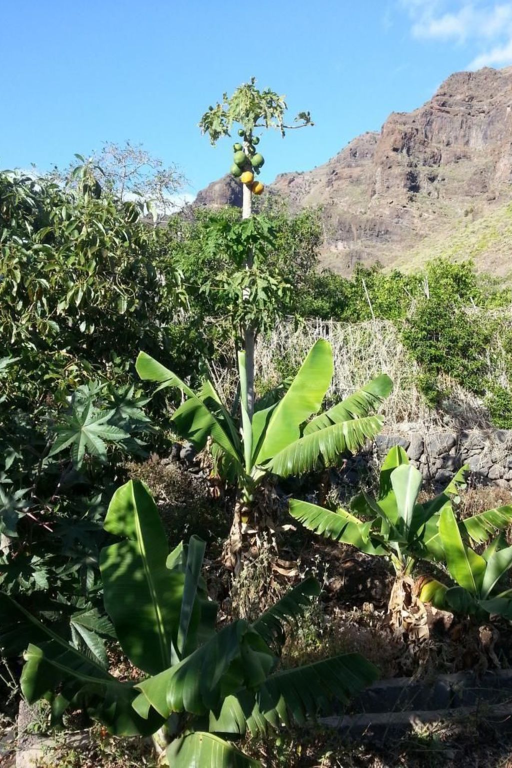 Wohnung "Los Medanos" in Strandnähe