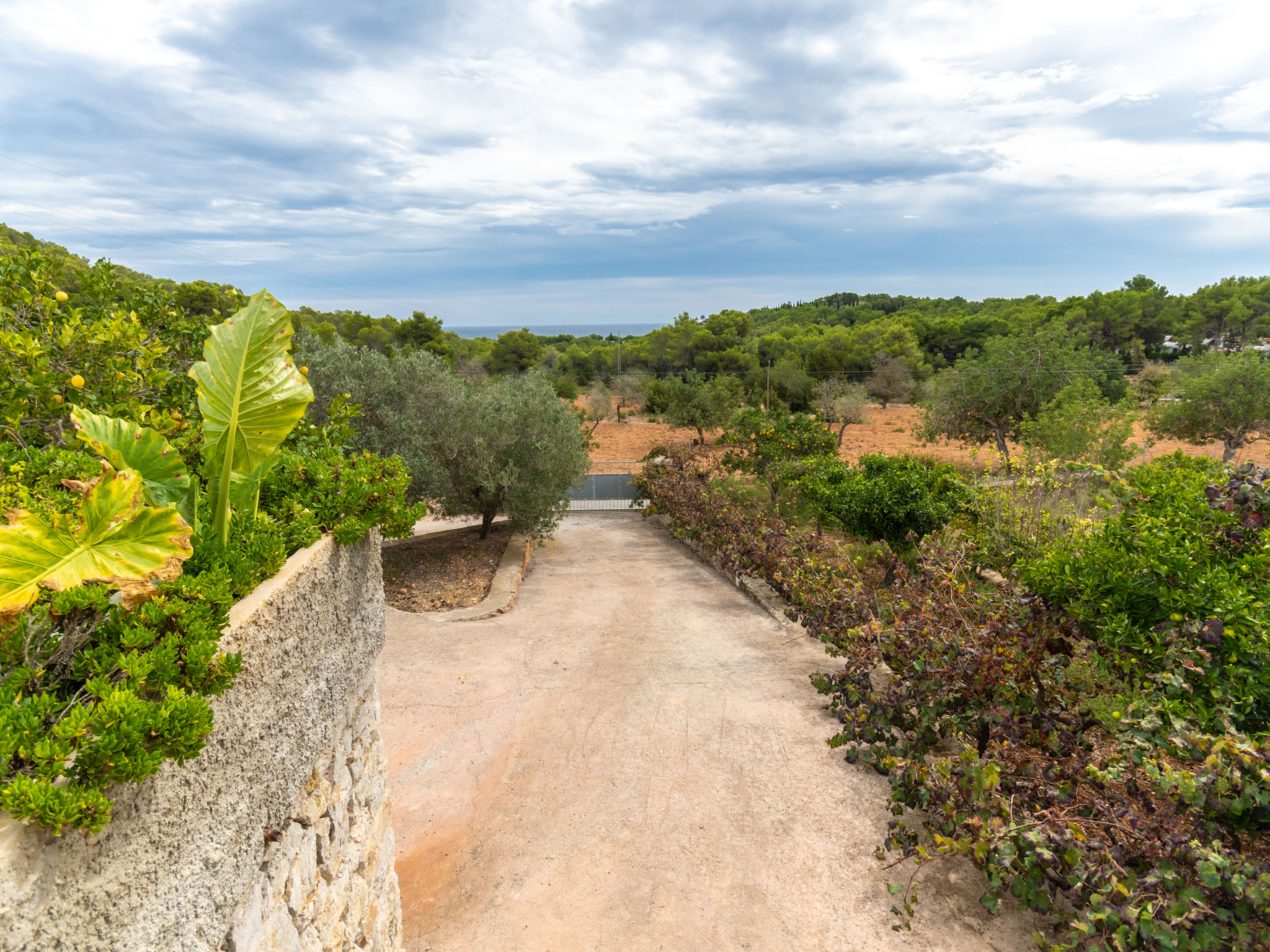 Photo of Can Pep Jaume
