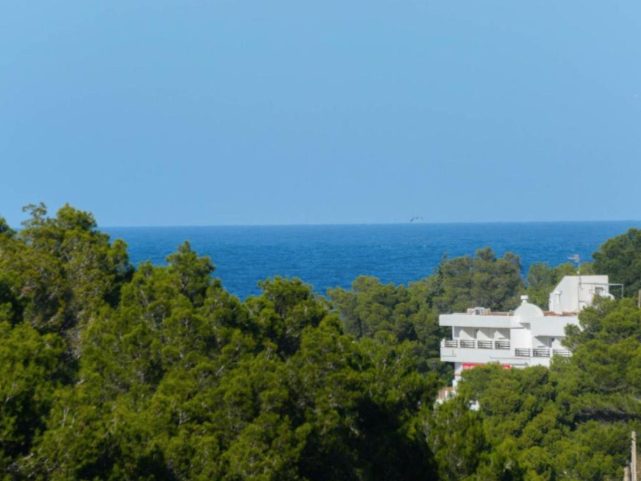 VILLA CAS PUIG - Dehors
