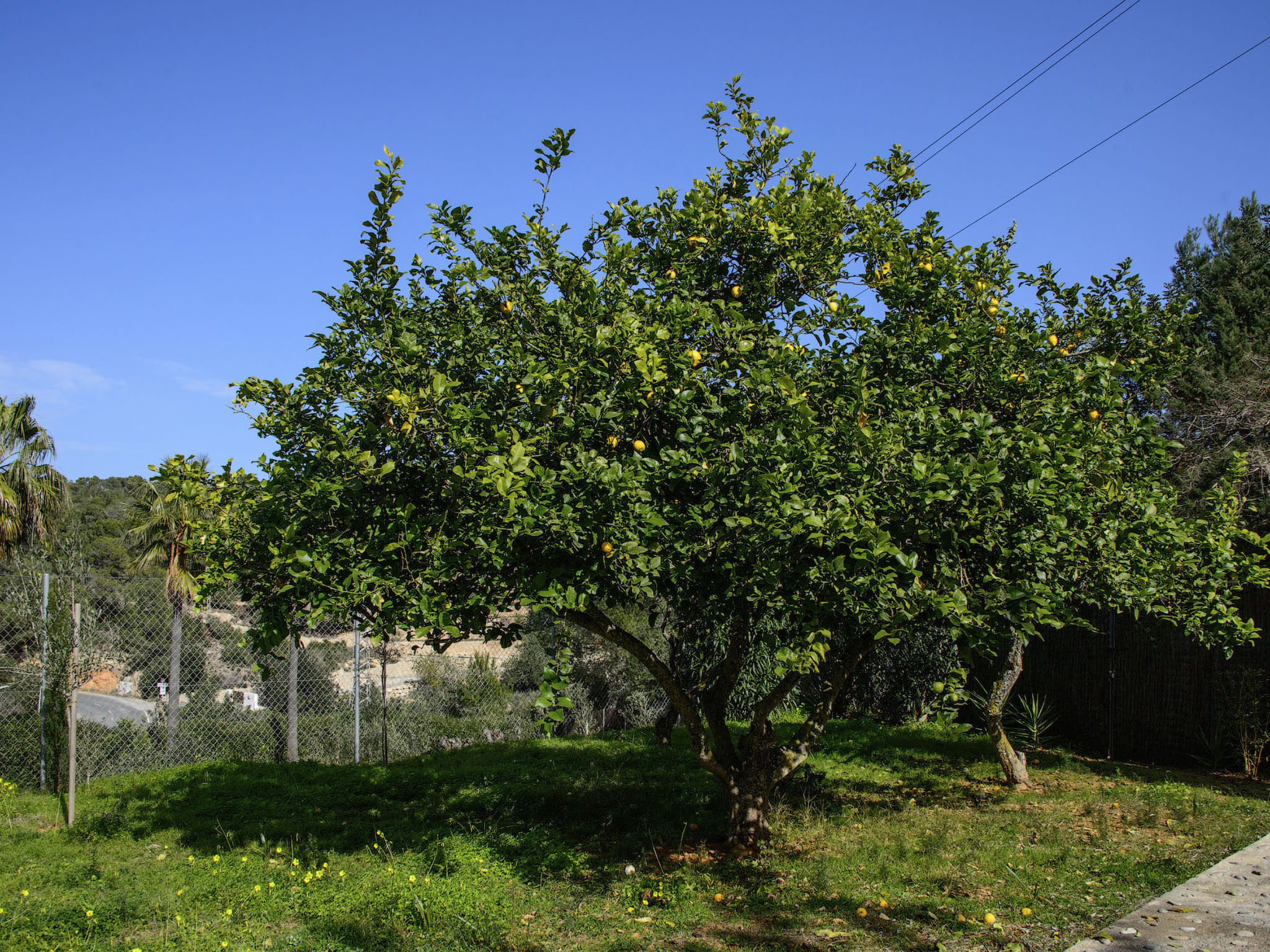 VILLA CAS PUIG - Dedans