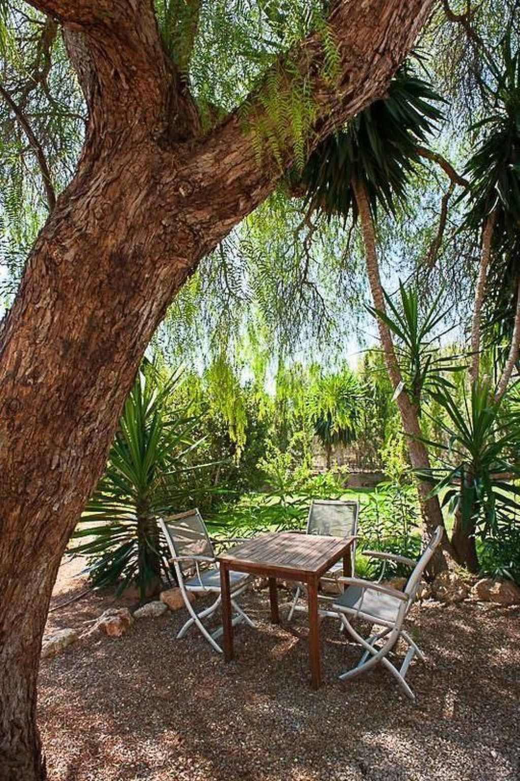 Finca Can Gall in Sant Joan De Labritja mit Pool-Binnen