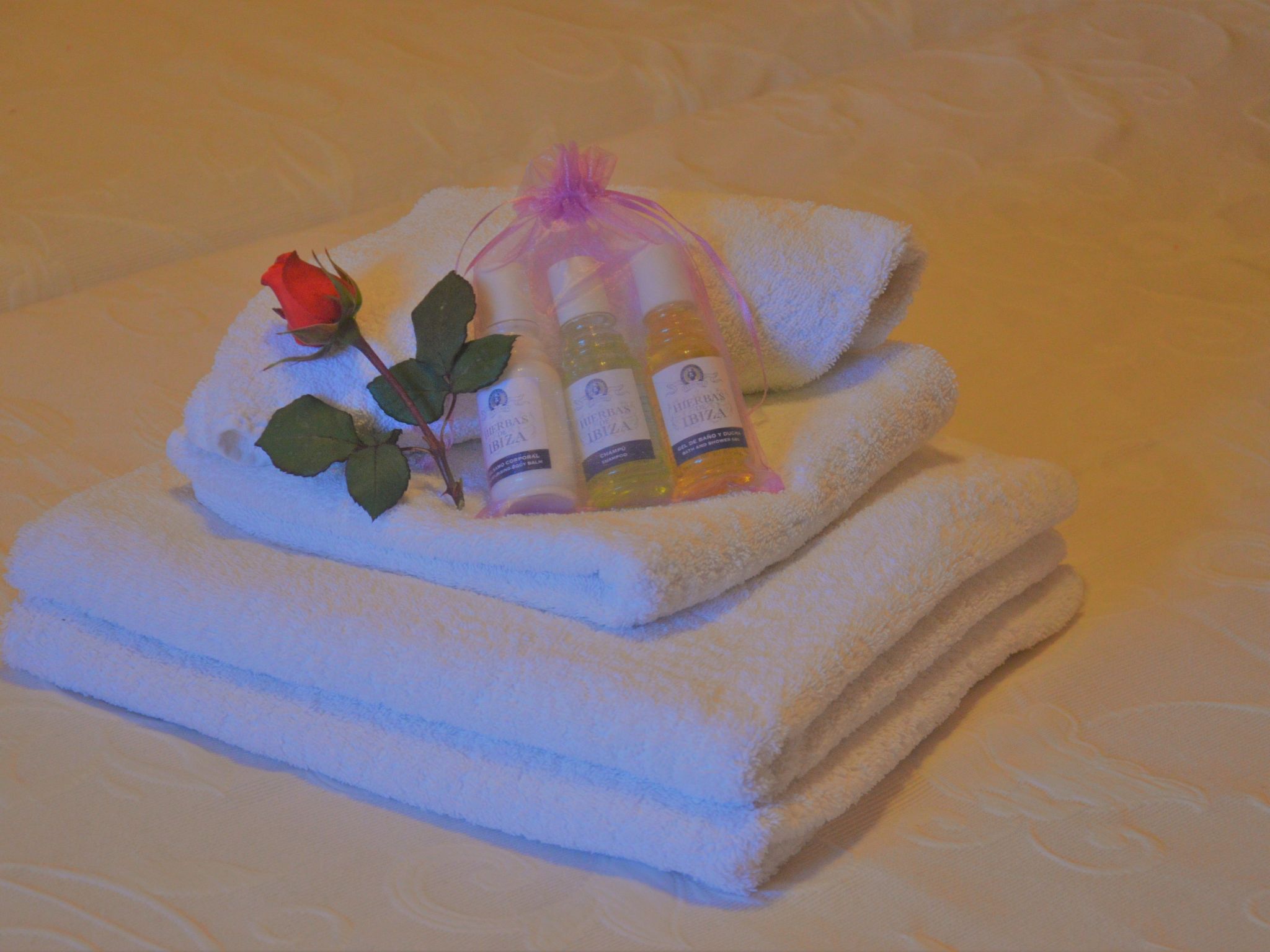 Villa Can Juanó mit privatem Pool