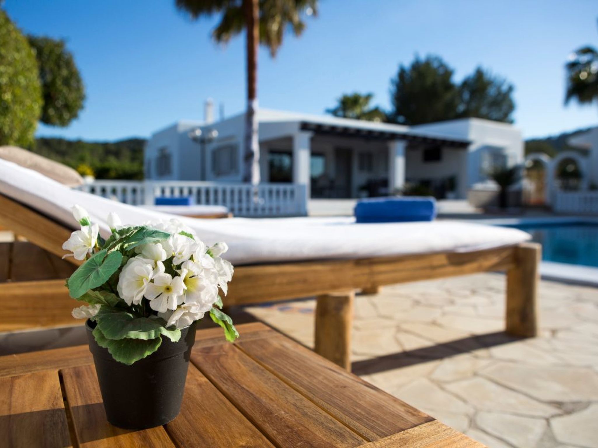 Villa Can Raes-Inside