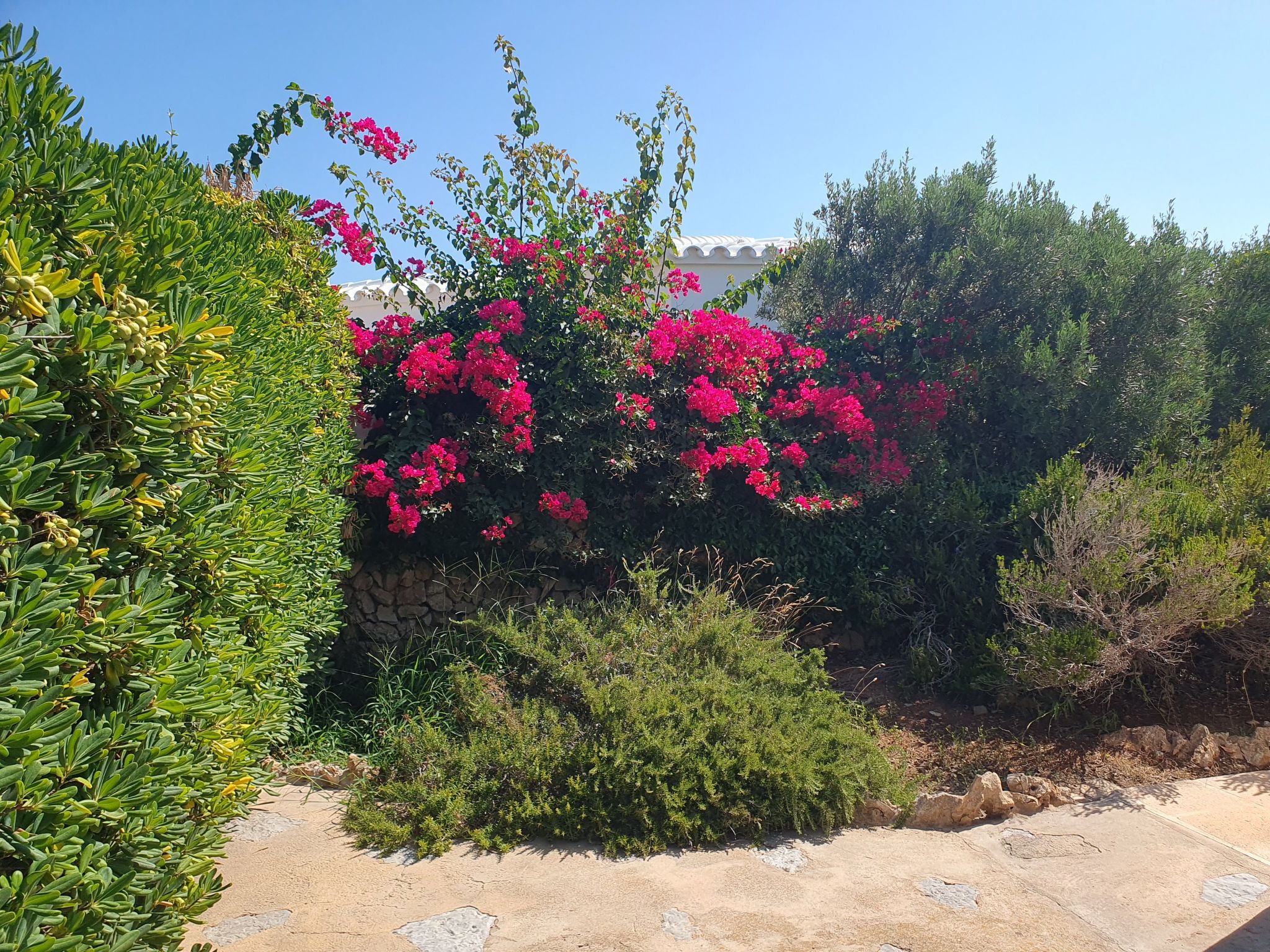 Ficula Vell Villa am Meer mit privatem Pool - Image-tags.info