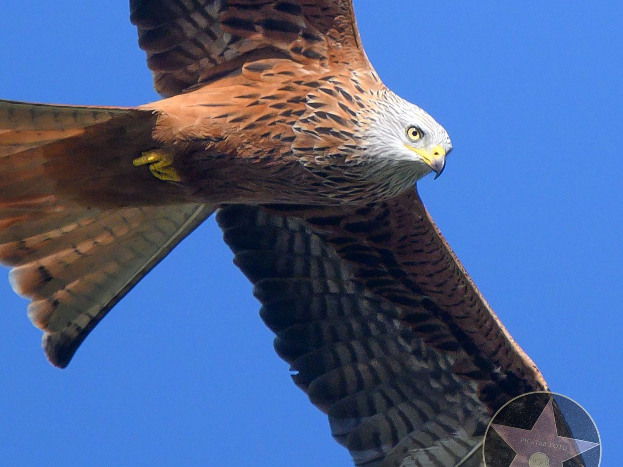 Photo of Villa Anna 12B