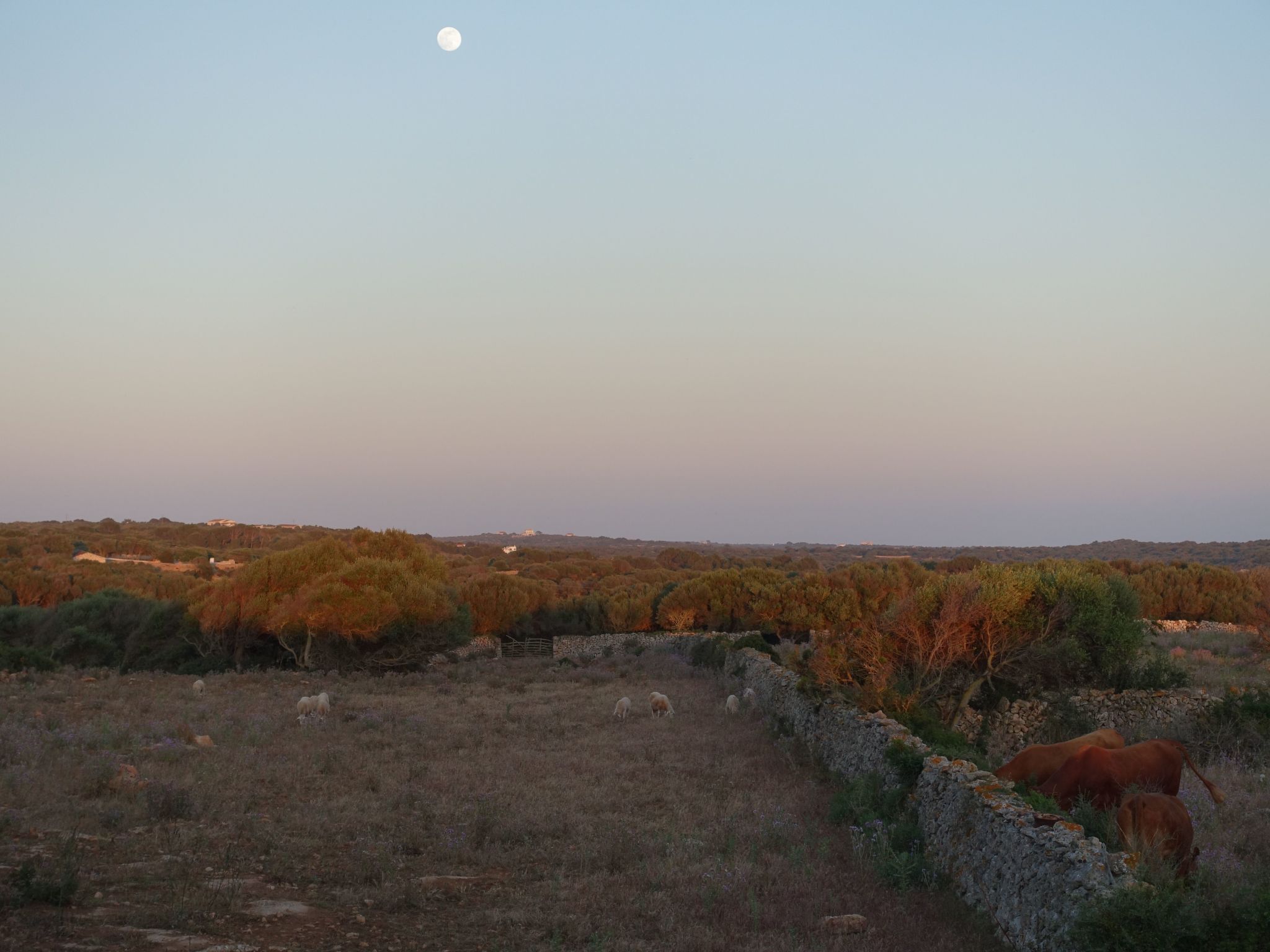 Photo of Casita Menorca Privé