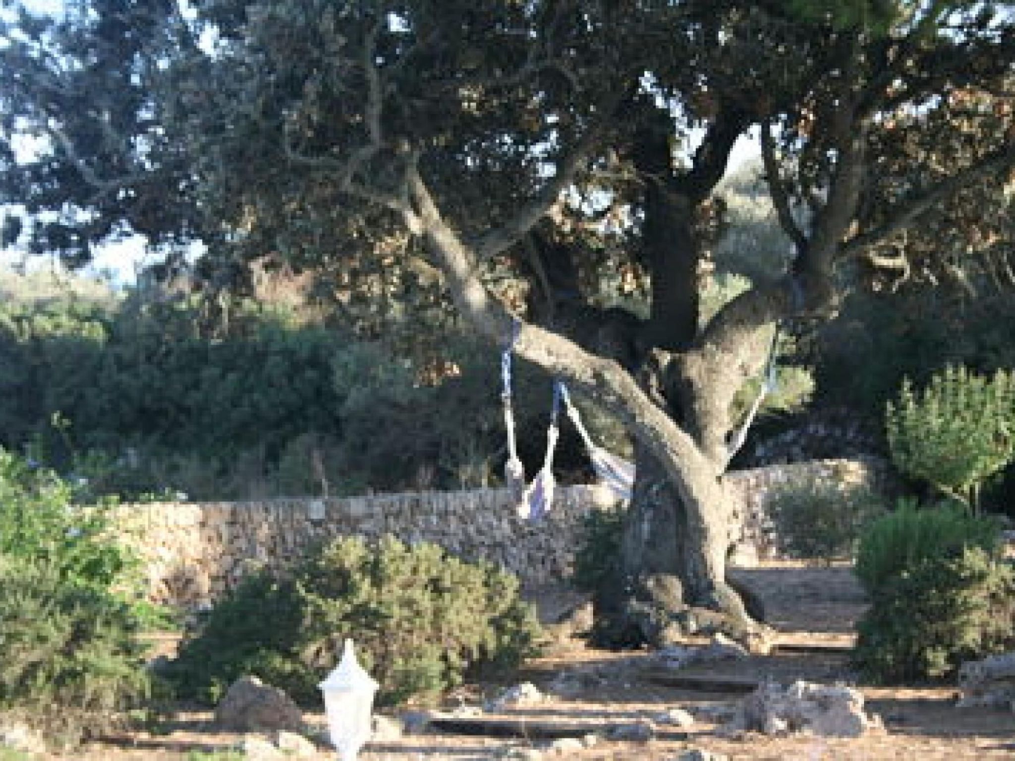 Gemütliches Ferienhaus in Alaior mit Privatem Pool-Binnen
