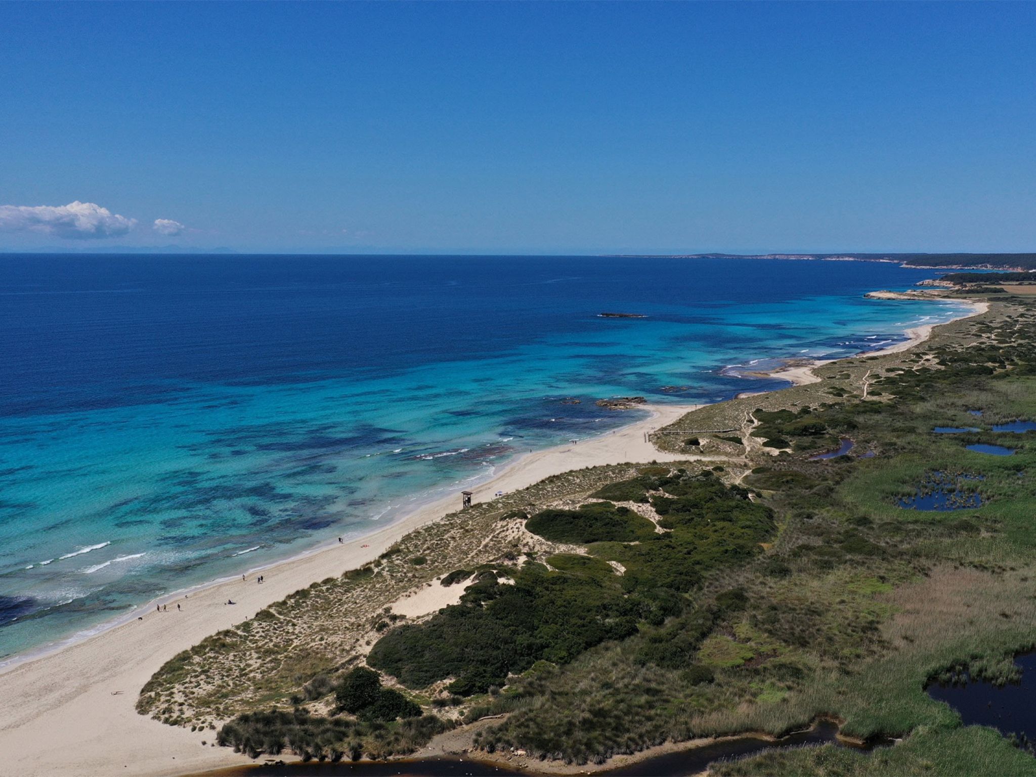 Photo of Son Bou Gardens Plus
