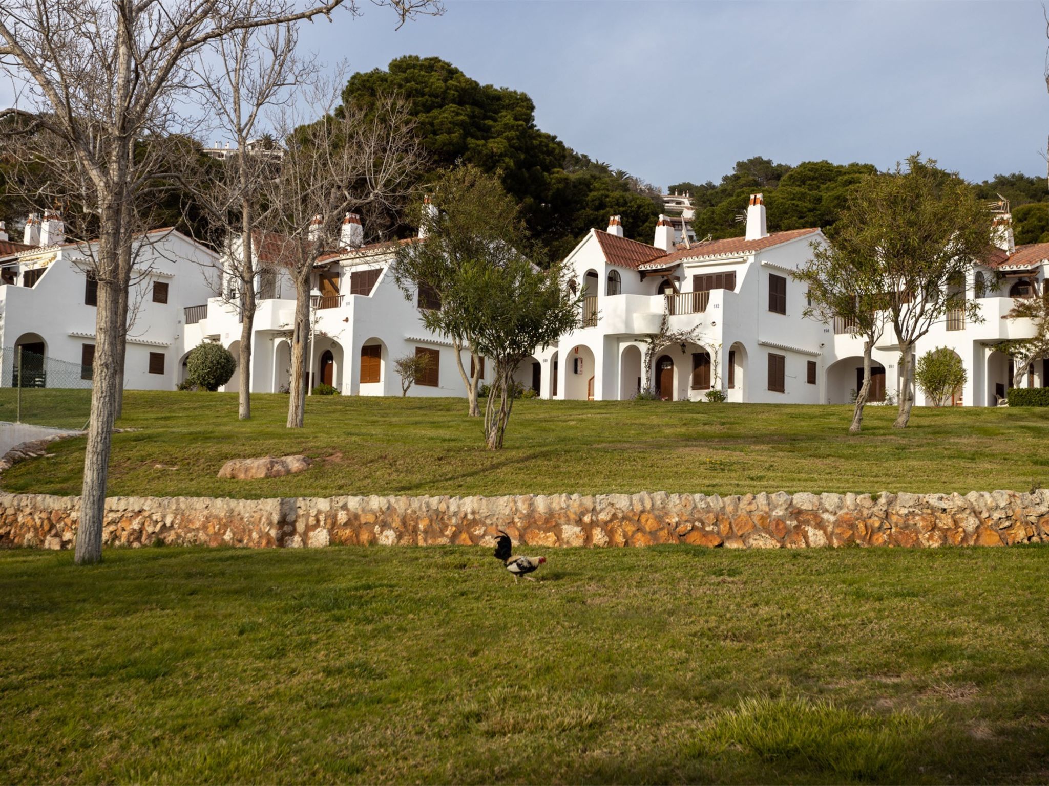 Photo of Son Bou Gardens 3 dorm