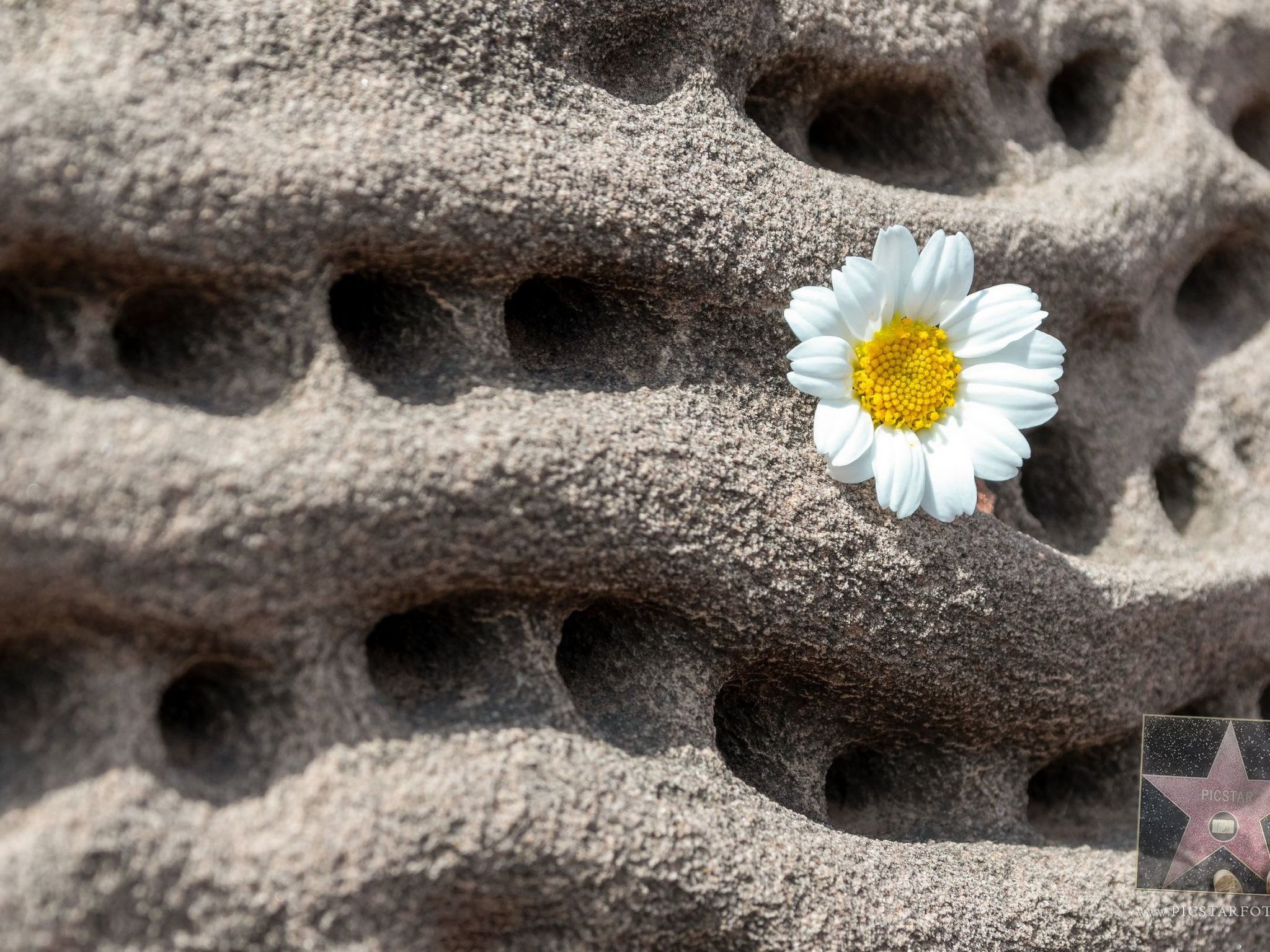 Moderne, frische Familienvilla Allondra-Binnen