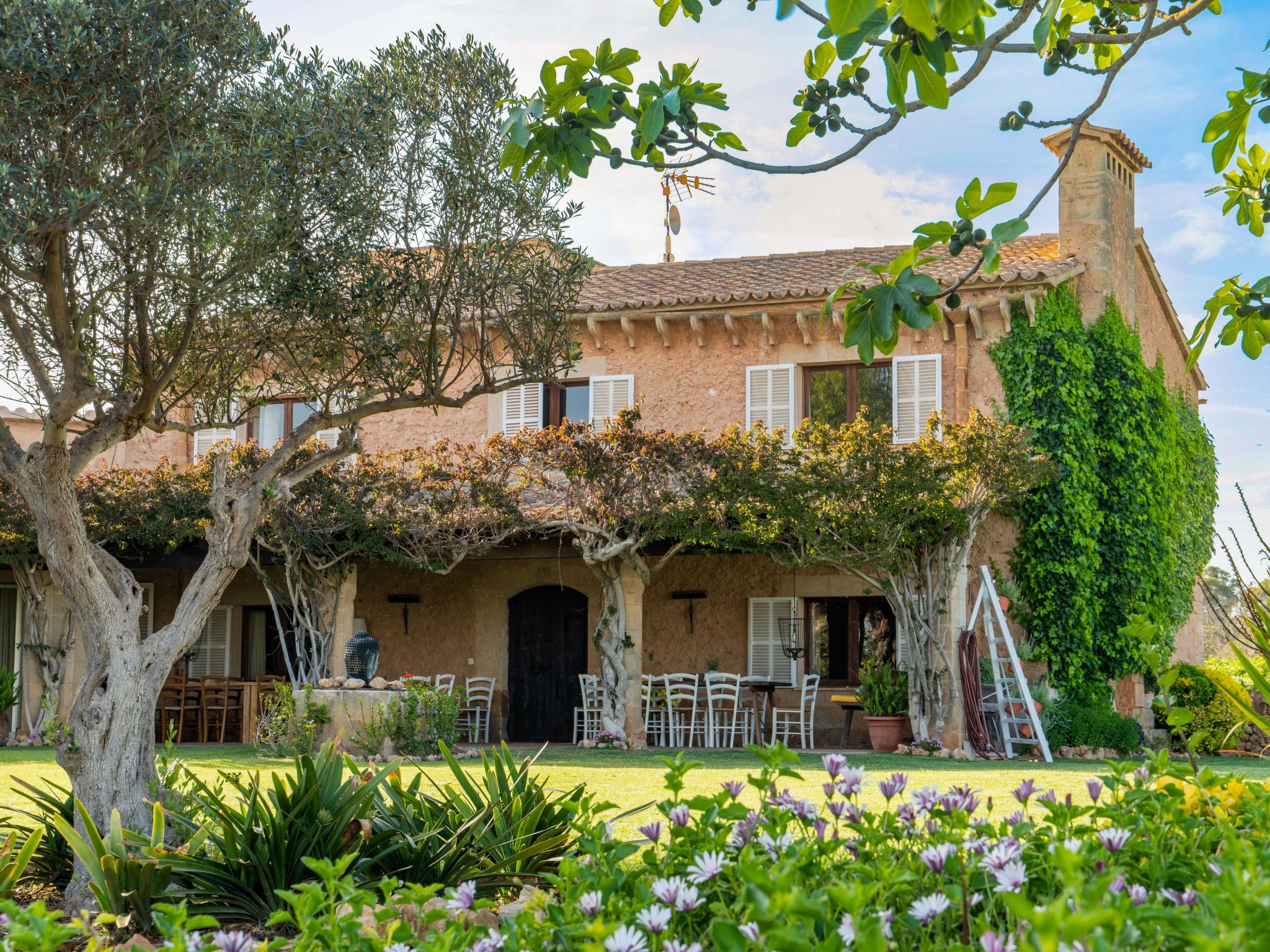 Finca Rustica Felostal-Image-tags.info