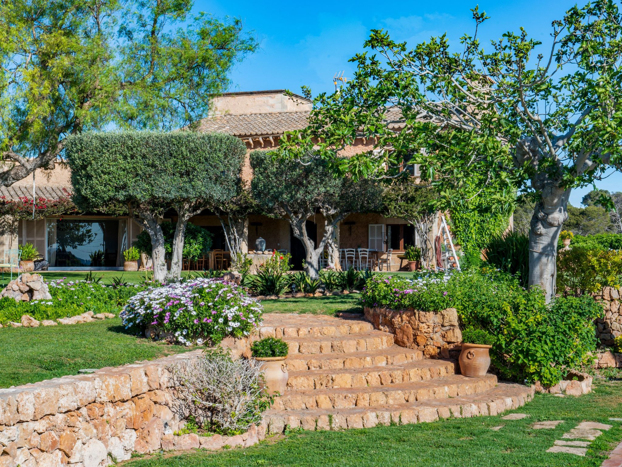 Finca Rustica Felostal-Image-tags.info