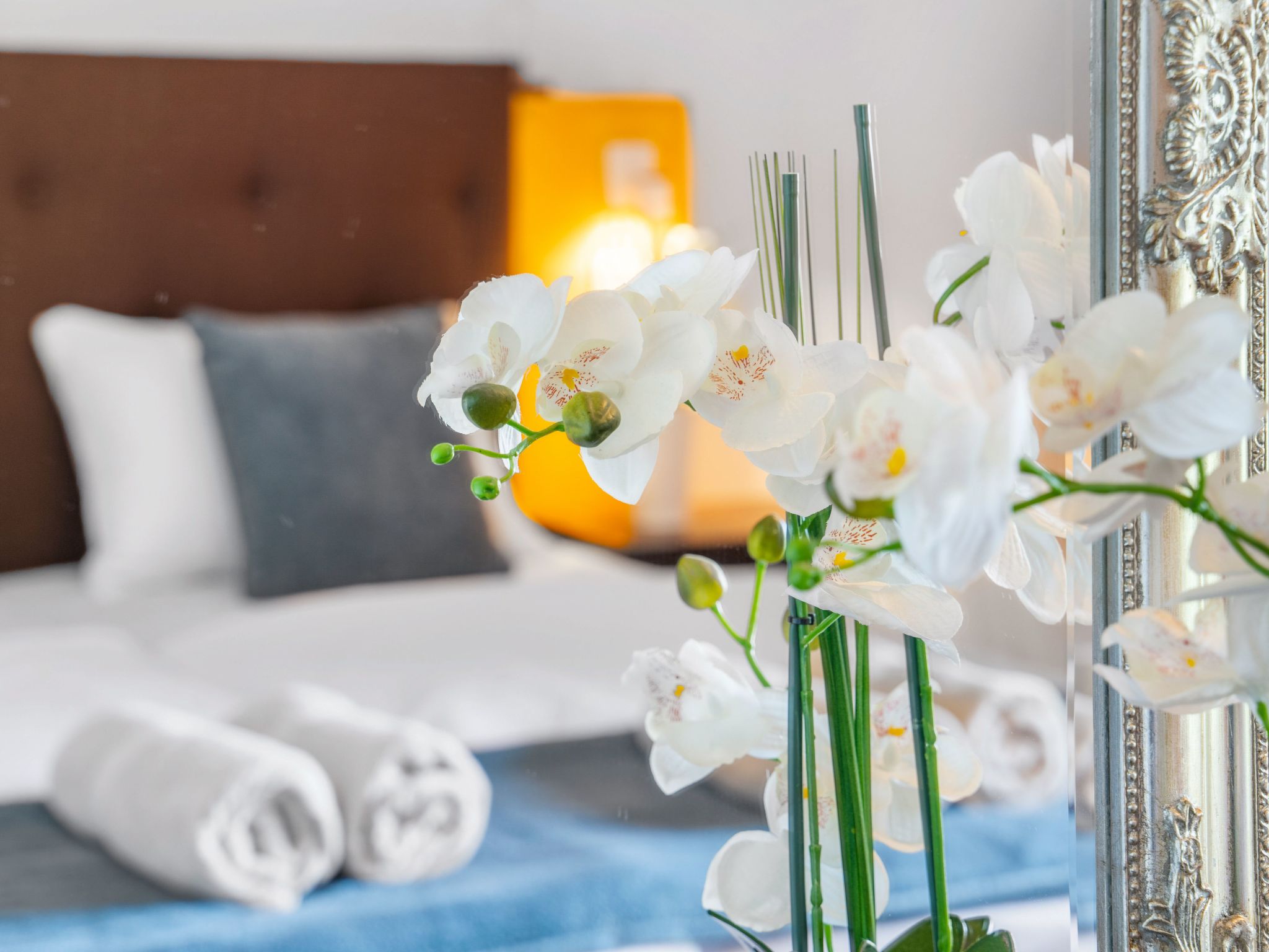 Finca Rustica Felostal-Image-tags.info