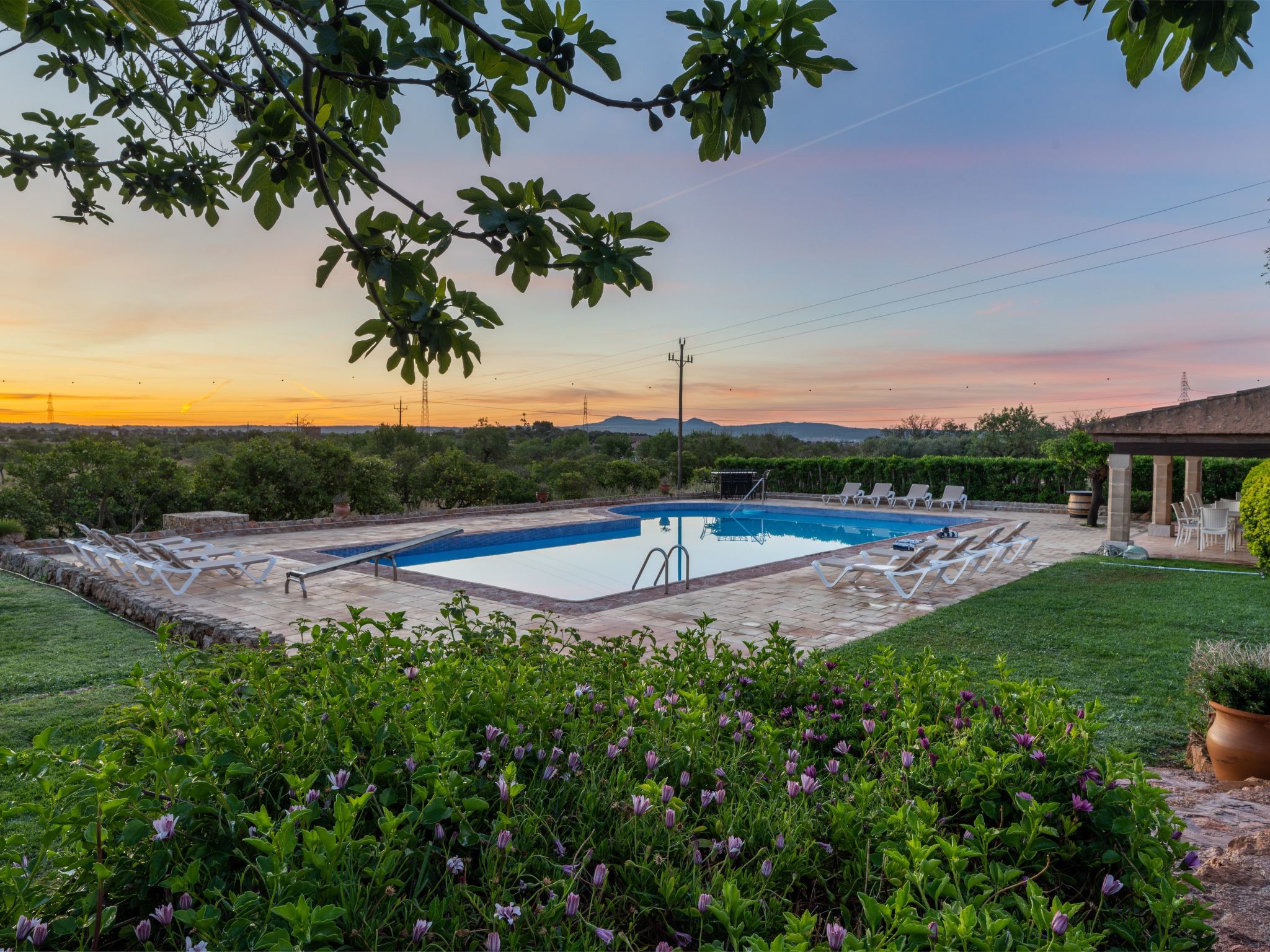 Finca Rustica Felostal-Image-tags.info