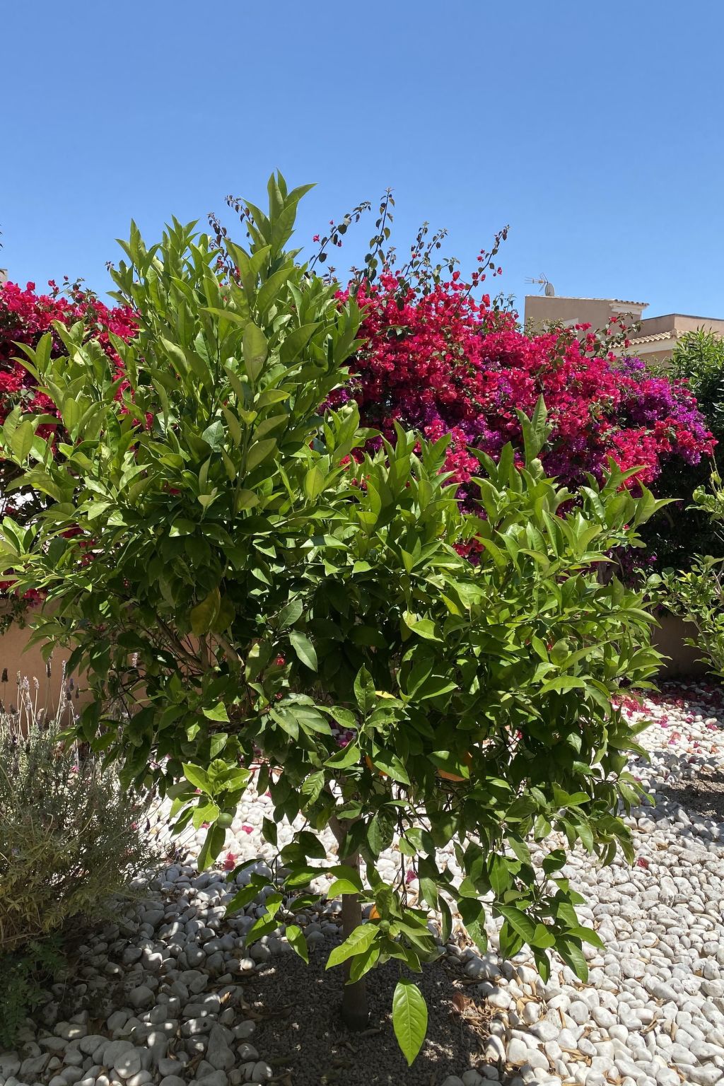 In Sa Ràpita mit Großer Terrasse-Image-tags.info