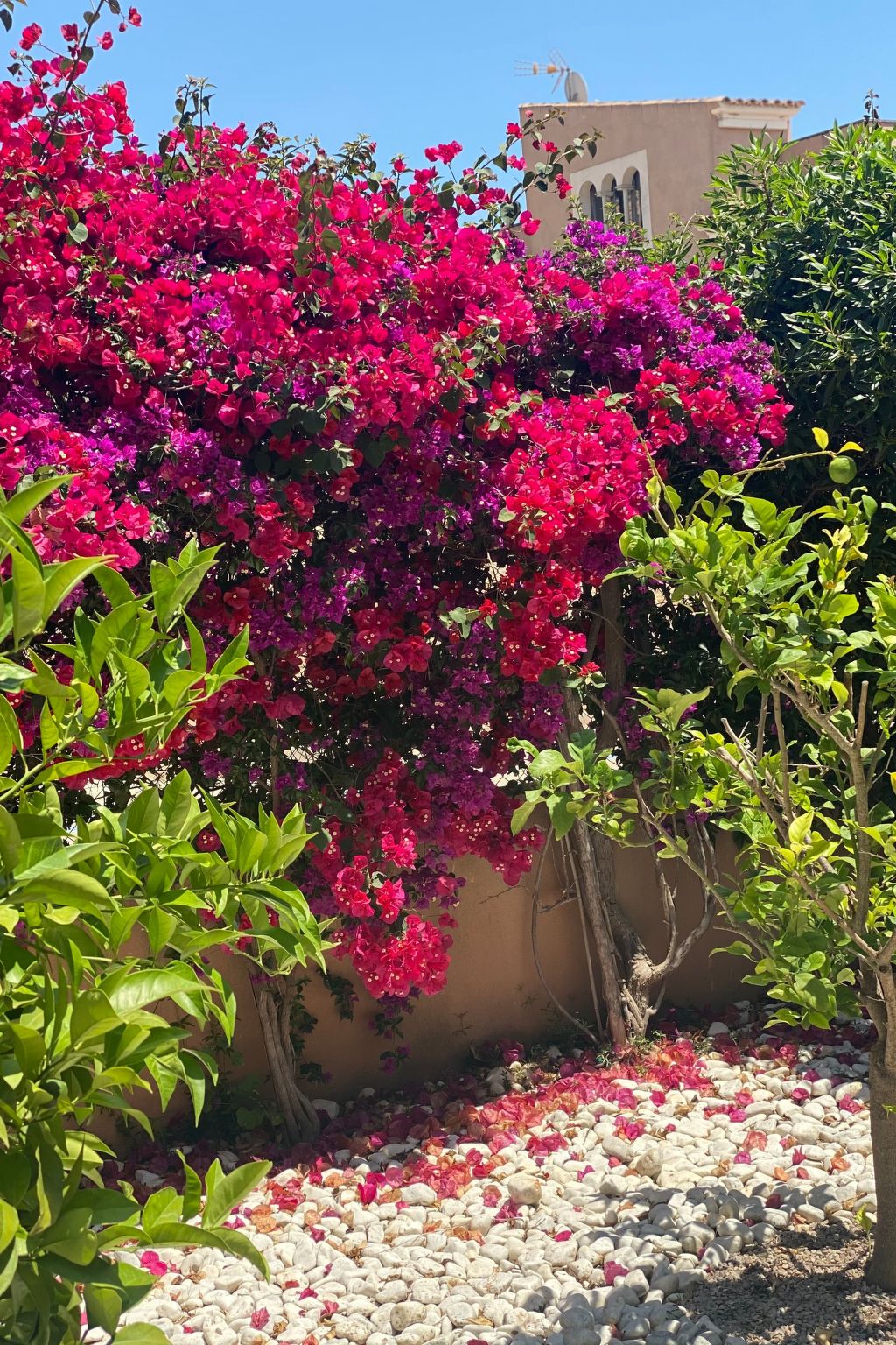 In Sa Ràpita mit Großer Terrasse-Image-tags.info