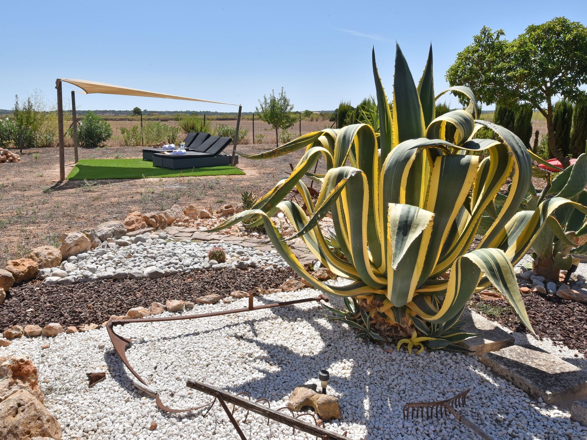 Barralina-Image-tags.info