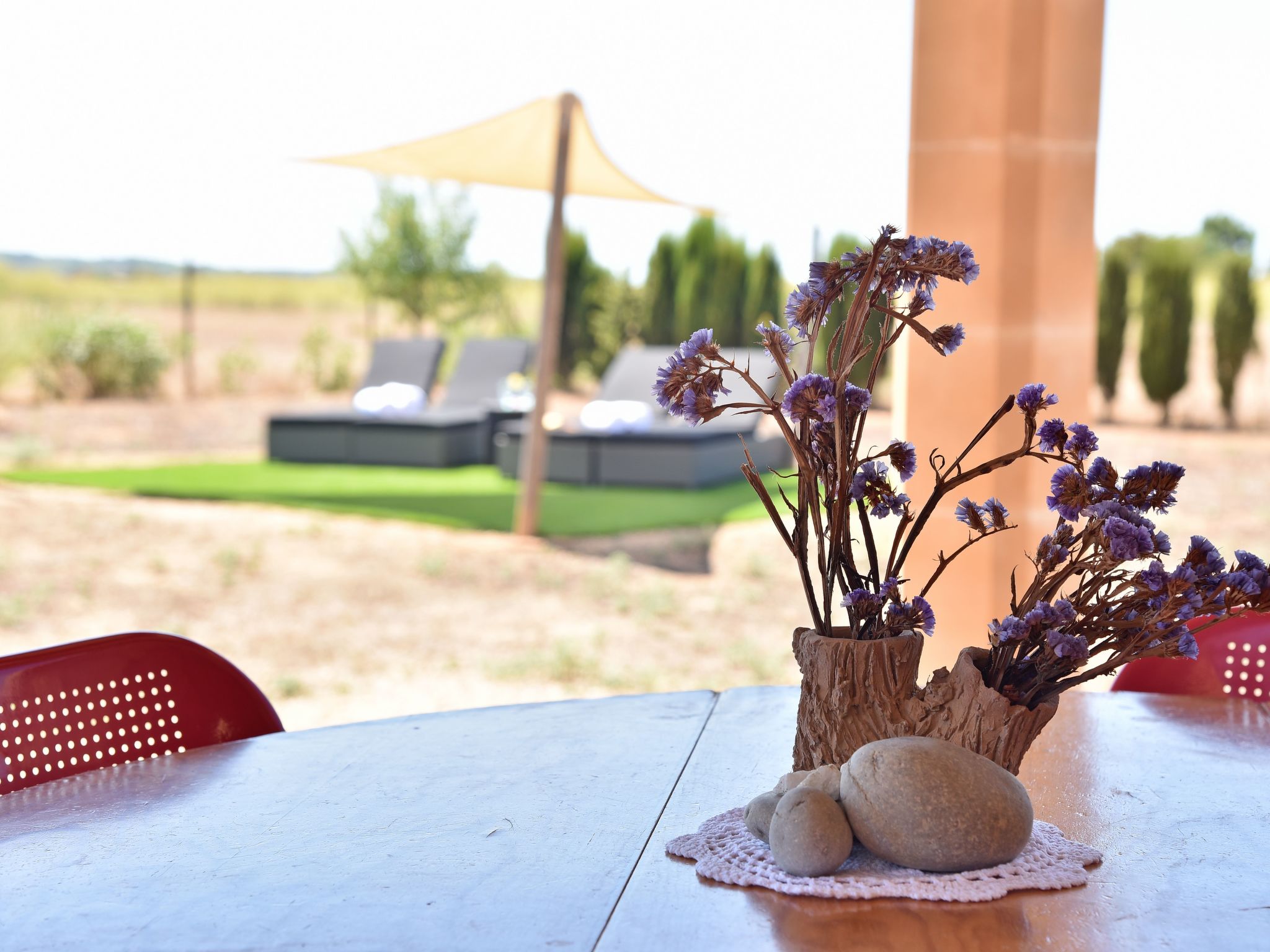 Barralina-Image-tags.info