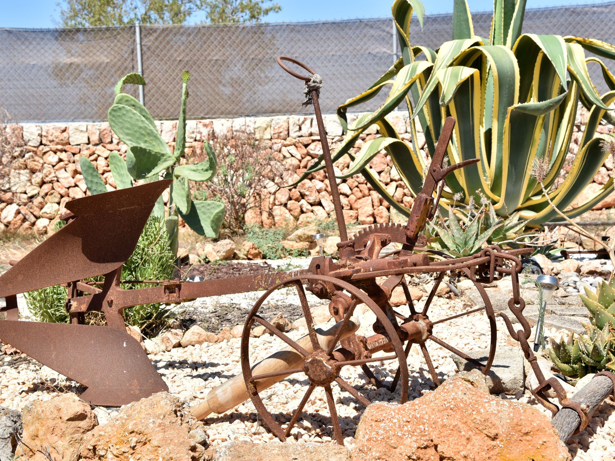 Barralina-Image-tags.info