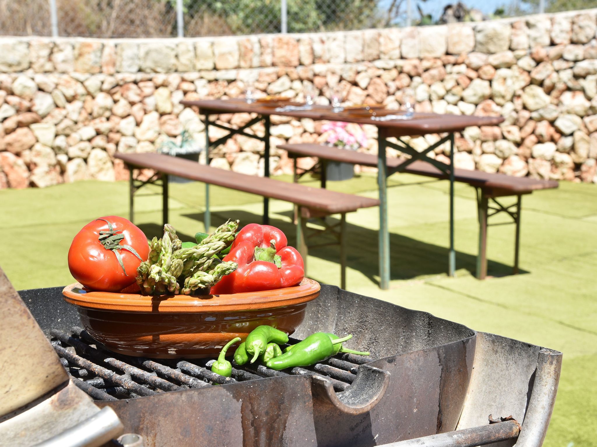 Barralina-Image-tags.info