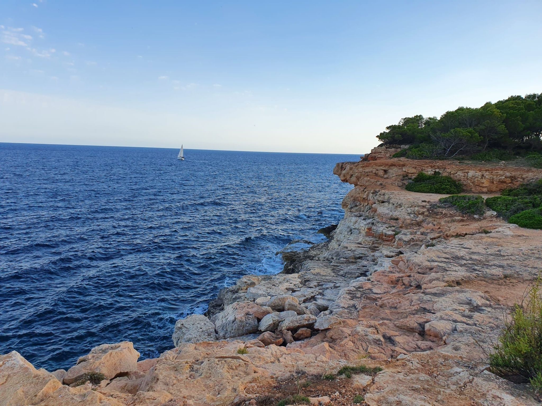 Wald und Meer - Image-tags.info