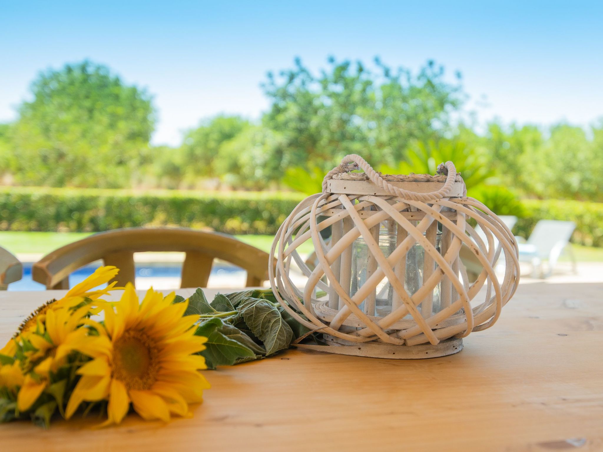 Villa "Finca de Luxe" mit eigenem Schwimmbad-Inside